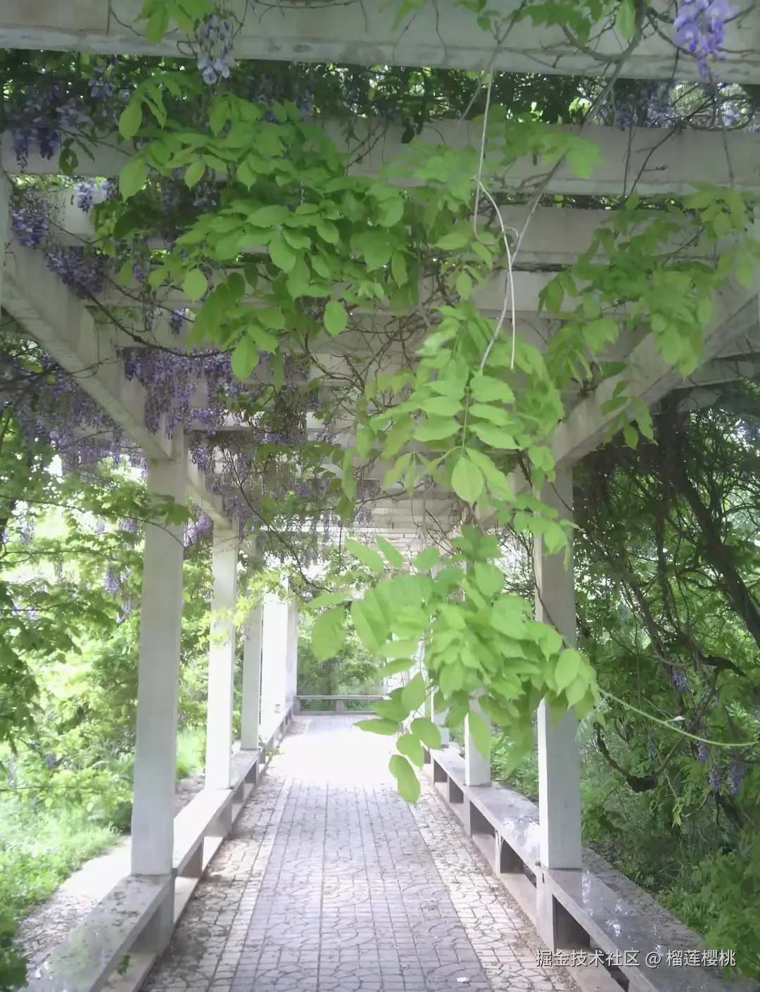 榴莲櫻桃于2024-12-31 10:22发布的图片