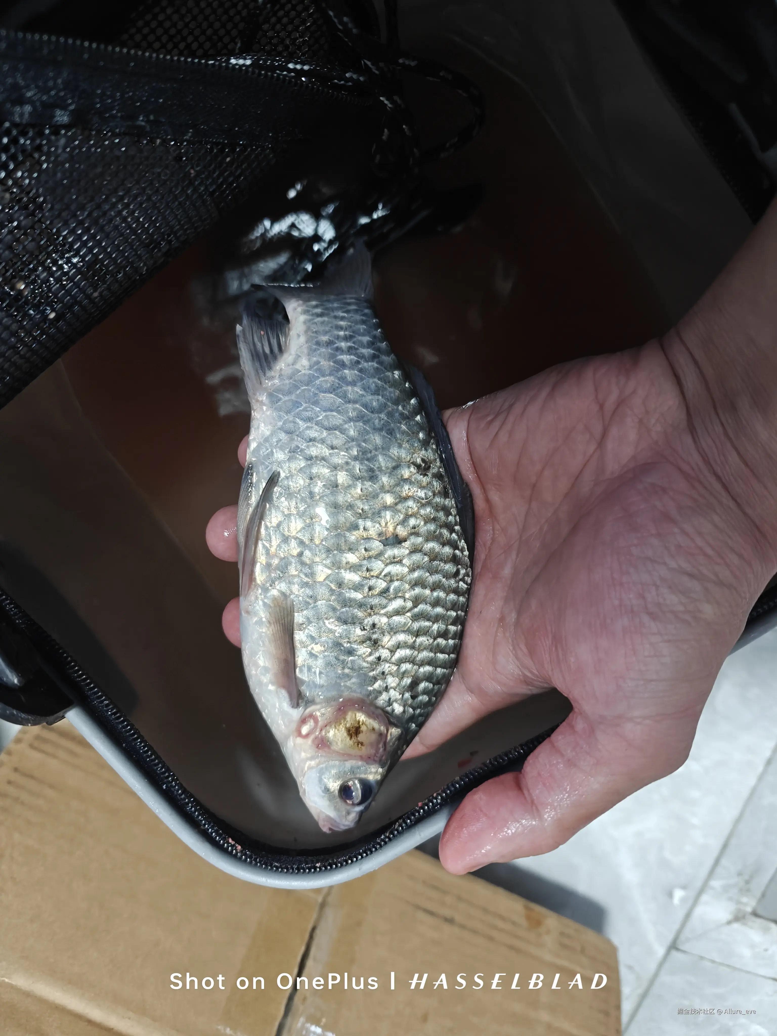 Allure_eve于2024-11-11 09:49发布的图片