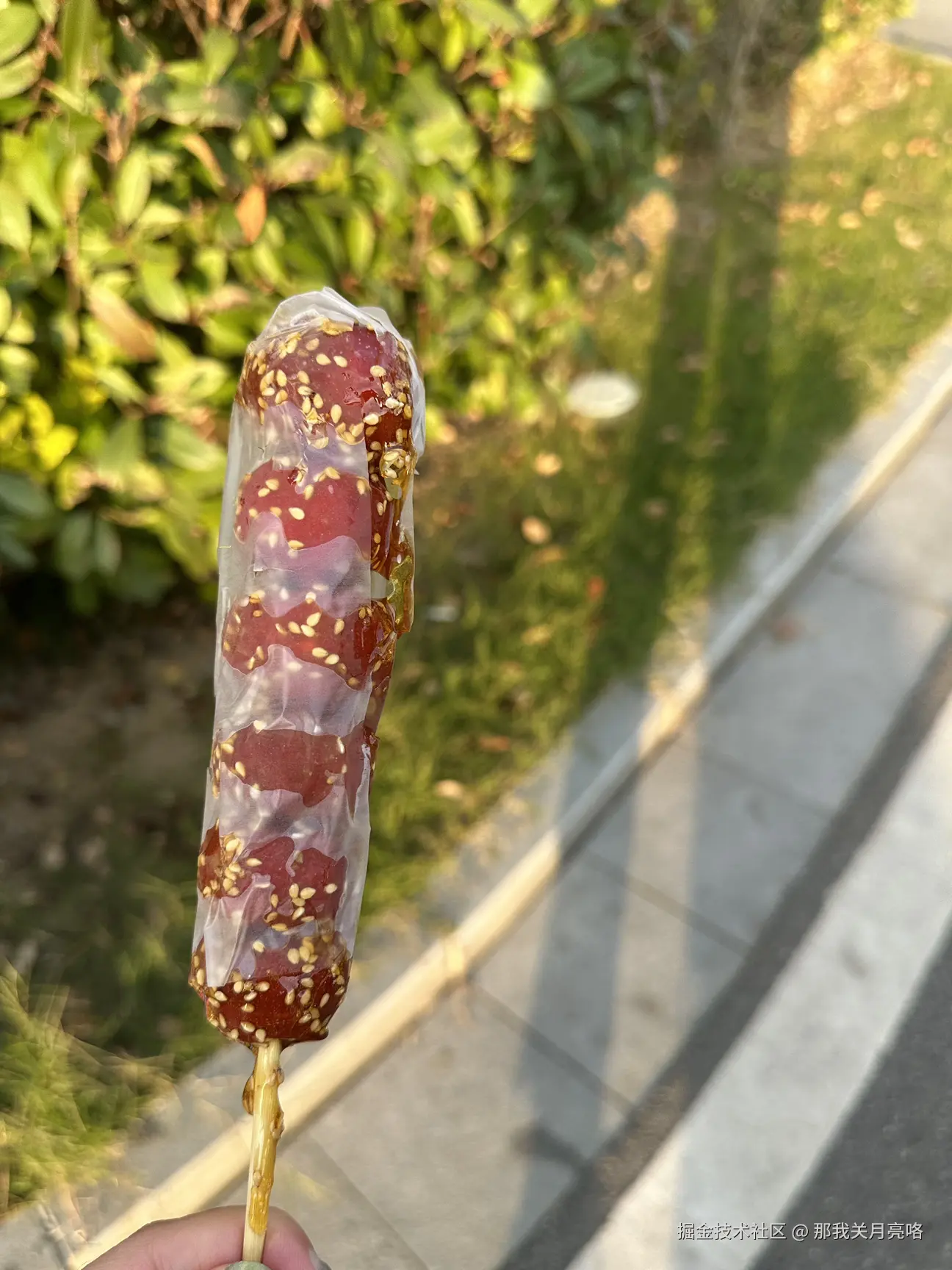 那我关月亮咯于2024-12-03 14:10发布的图片