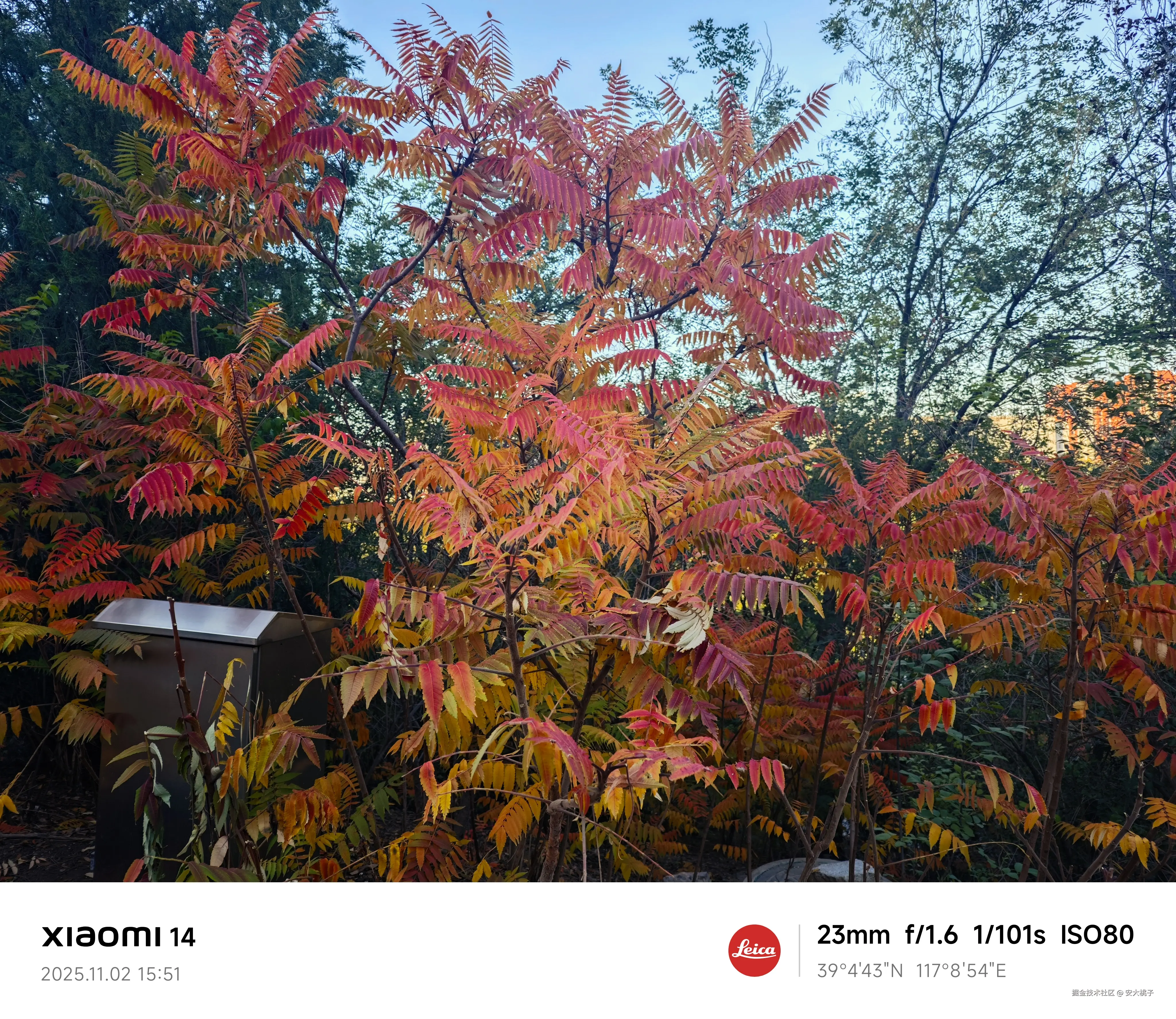 安大桃子于2025-11-02 16:48发布的图片