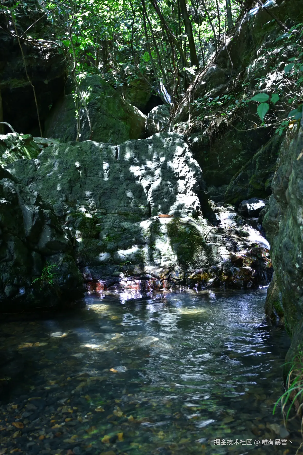 唯有暴富丶于2025-08-11 11:12发布的图片