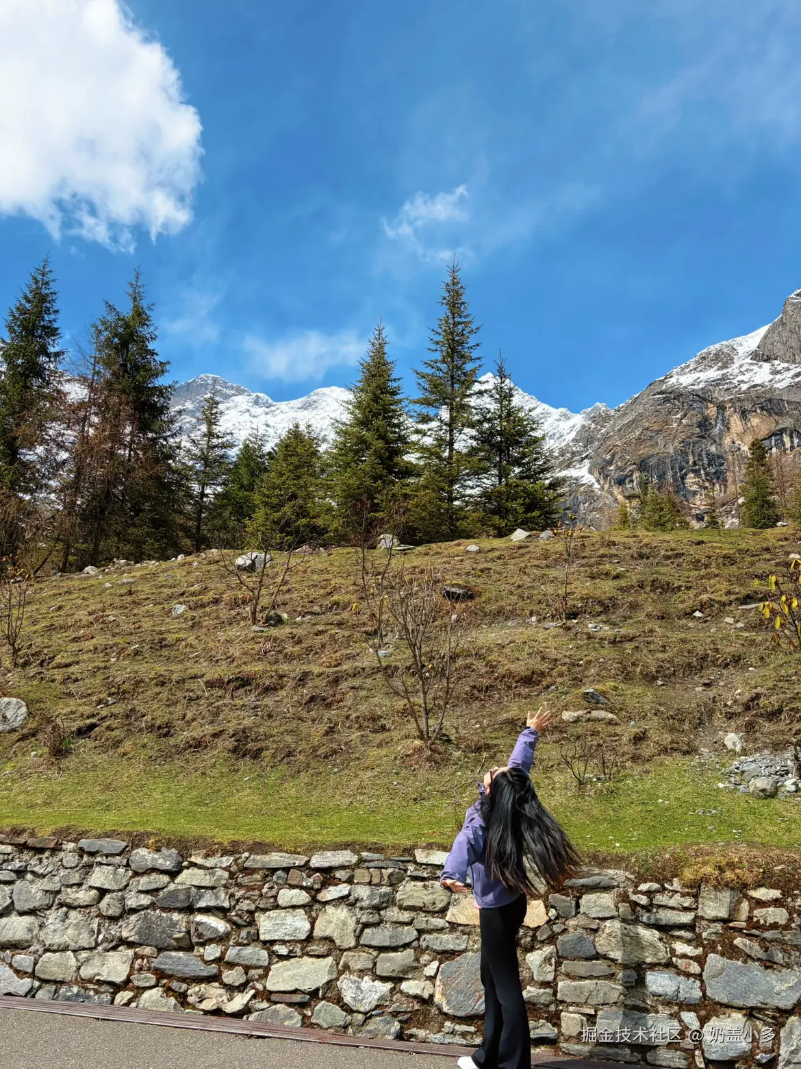 奶盖小多于2026-04-21 16:29发布的图片