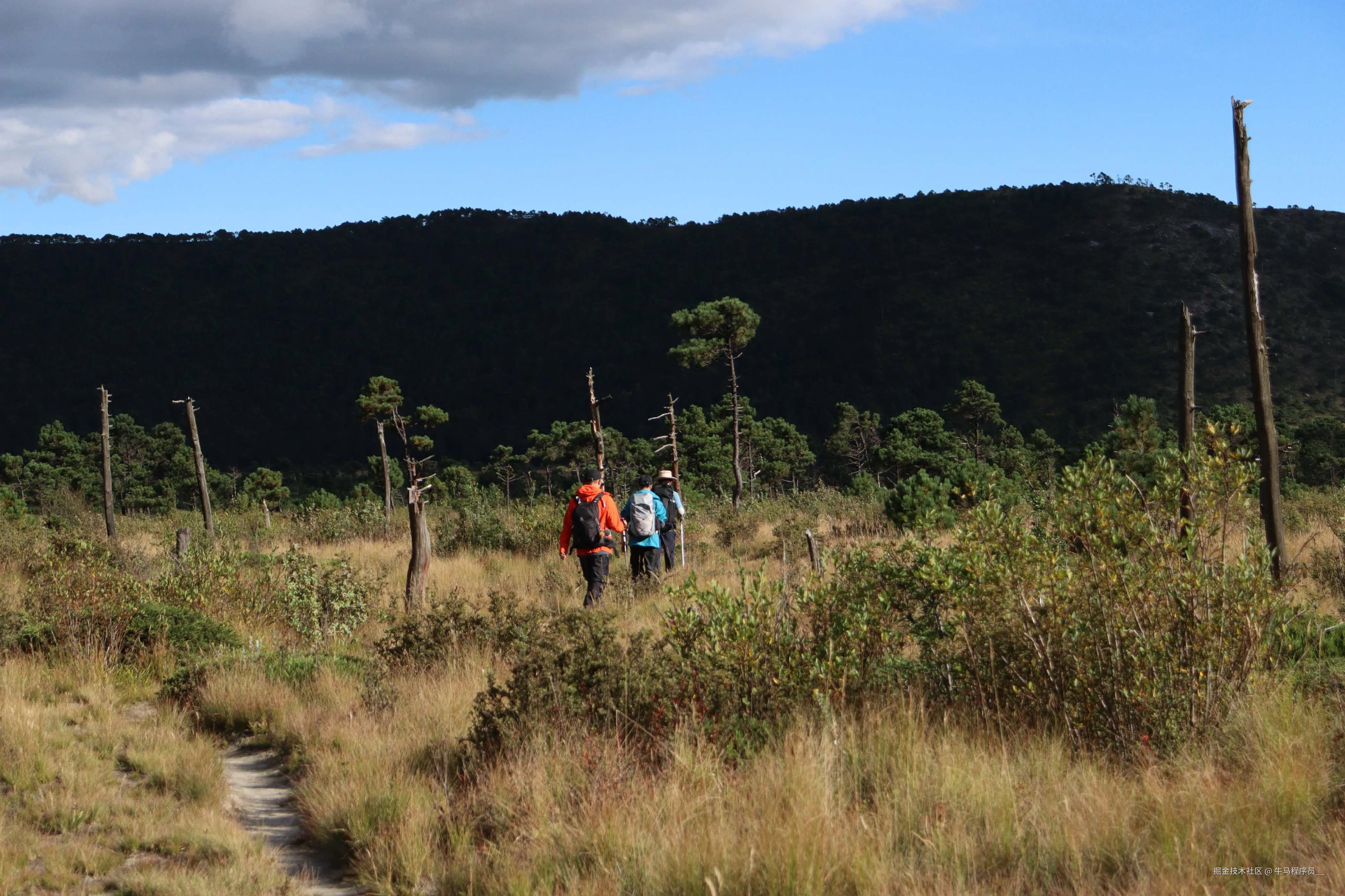 牛马程序员__于2025-10-09 13:51发布的图片