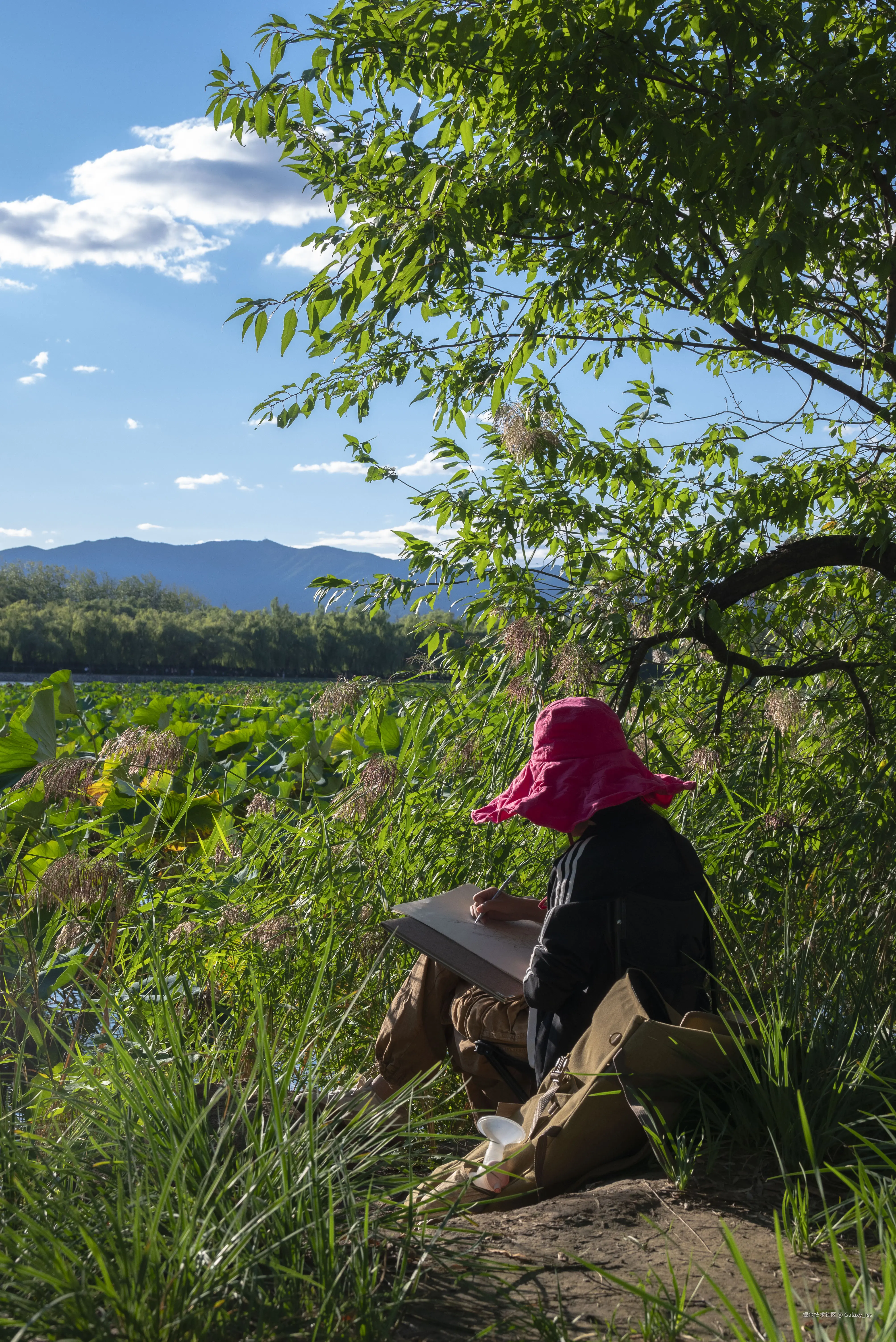 Galaxy_iss于2024-10-30 12:34发布的图片