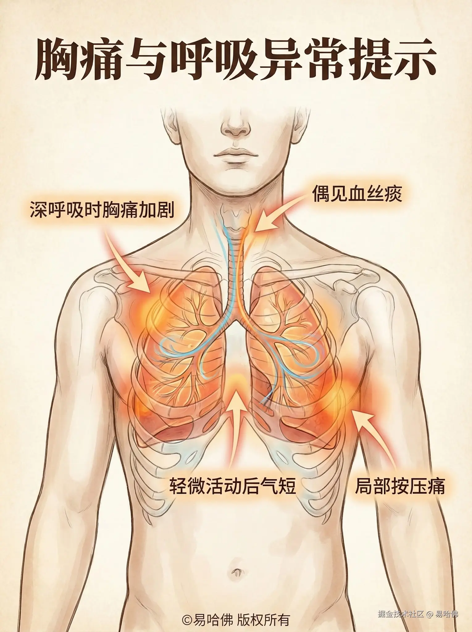 易哈佛于2026-01-04 16:22发布的图片