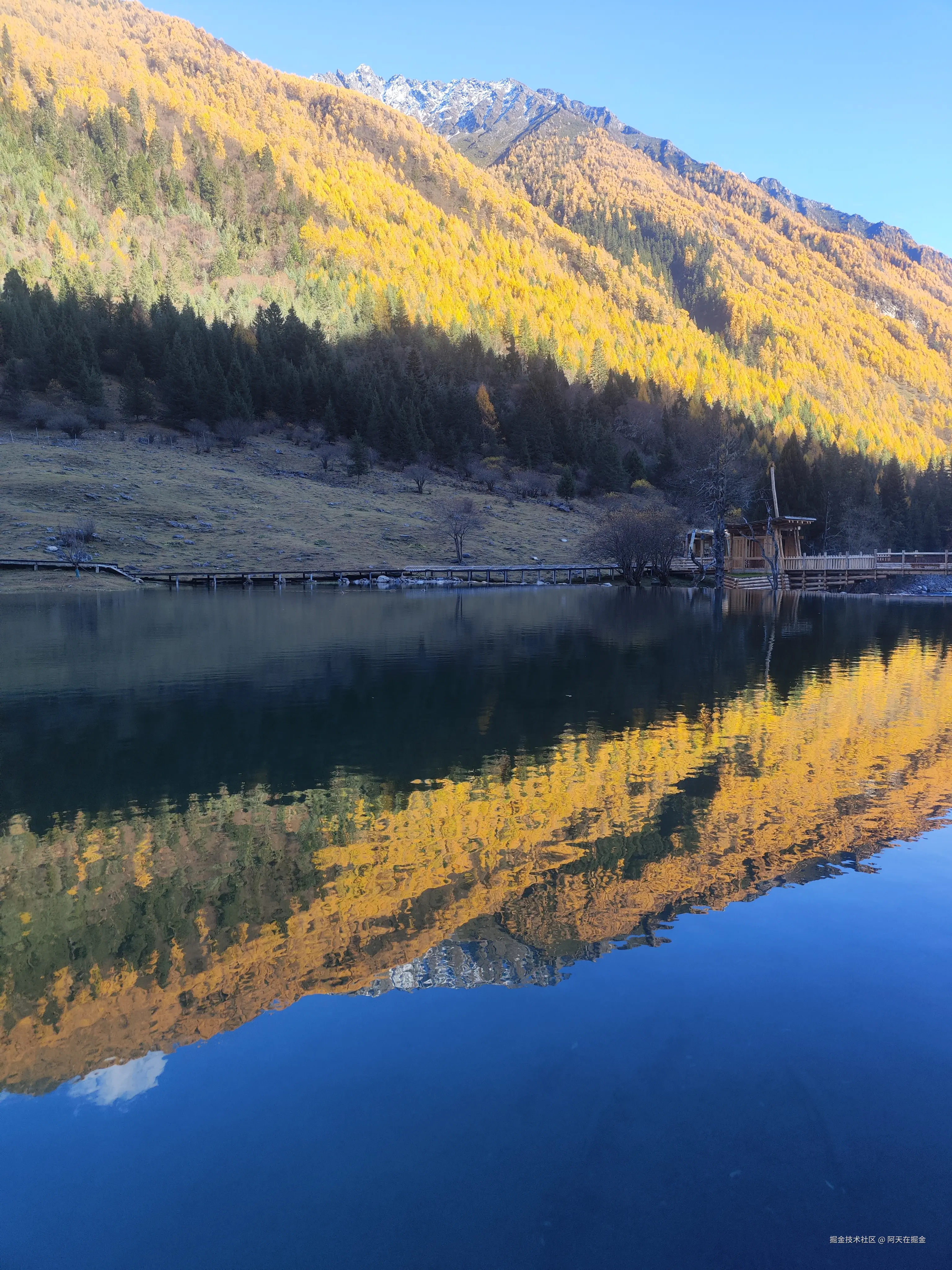 阿天在掘金于2024-11-06 15:00发布的图片