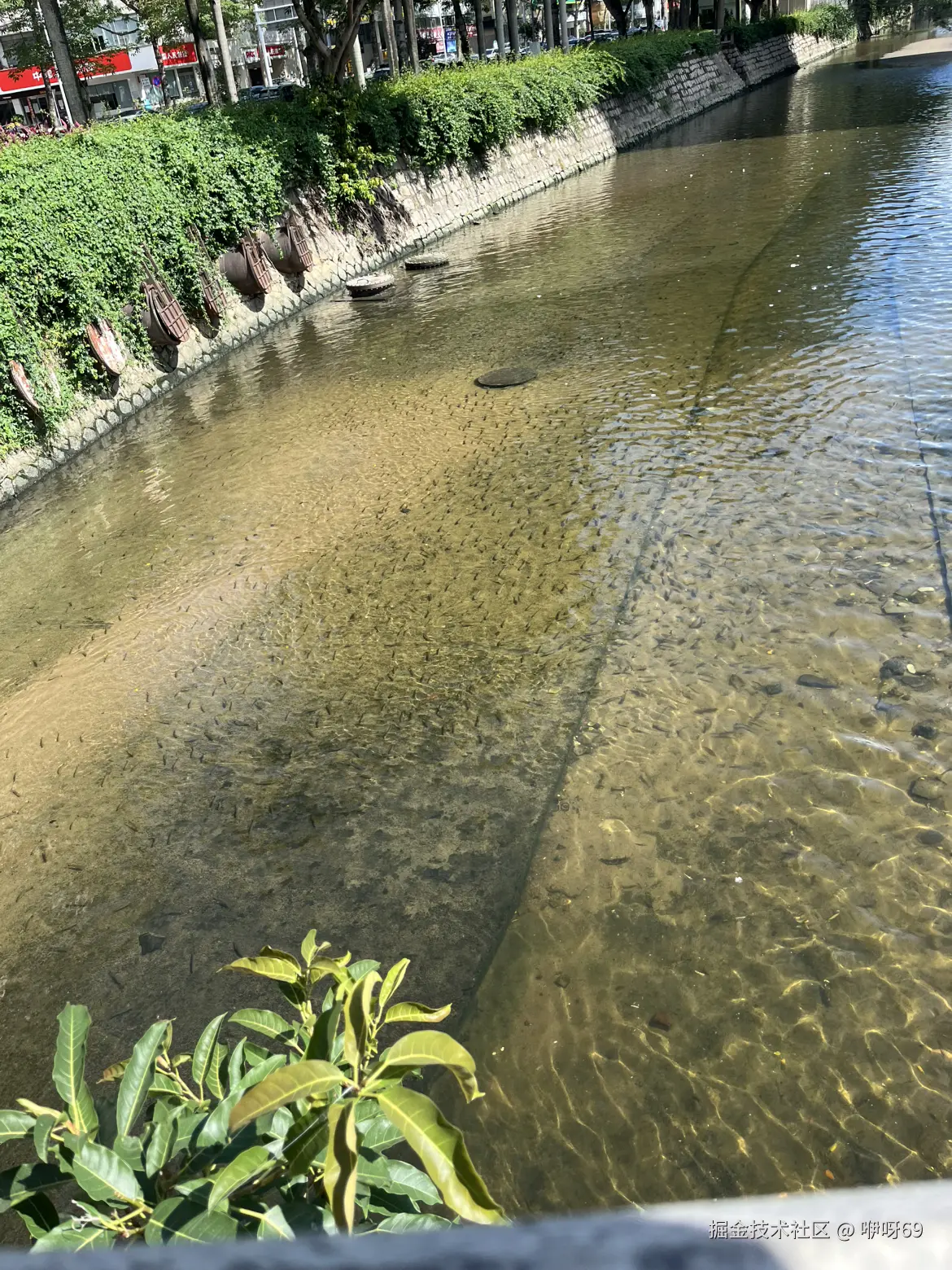 咿呀69于2025-06-09 16:55发布的图片