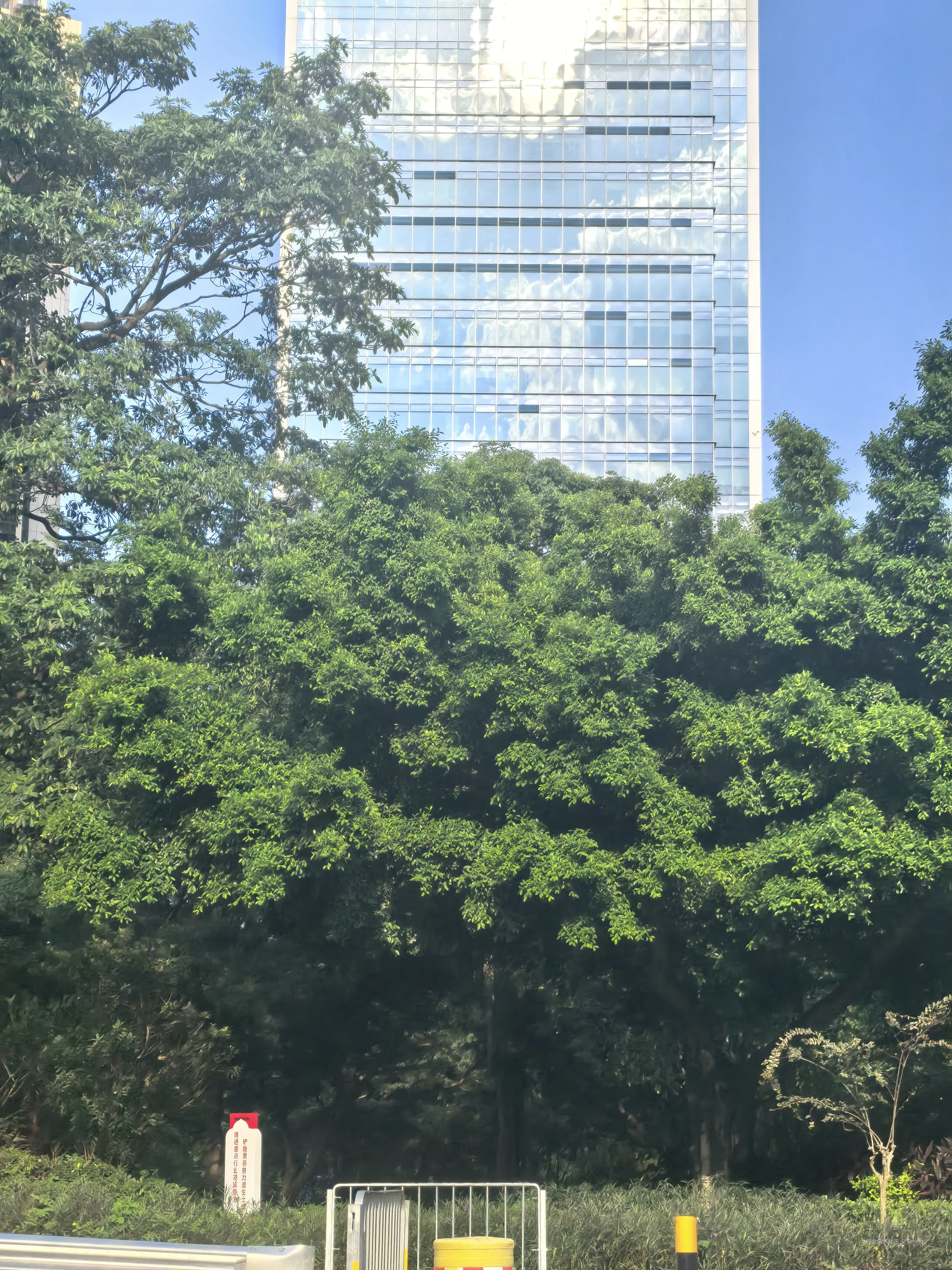 Serein_于2025-10-02 23:43发布的图片
