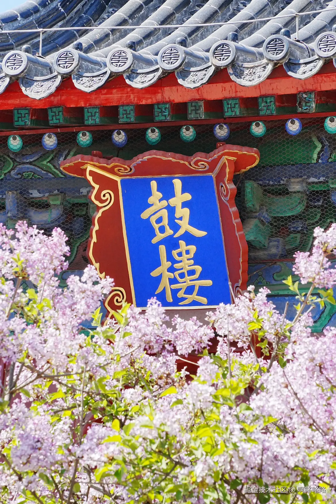 啊略略略于2025-04-02 06:21发布的图片
