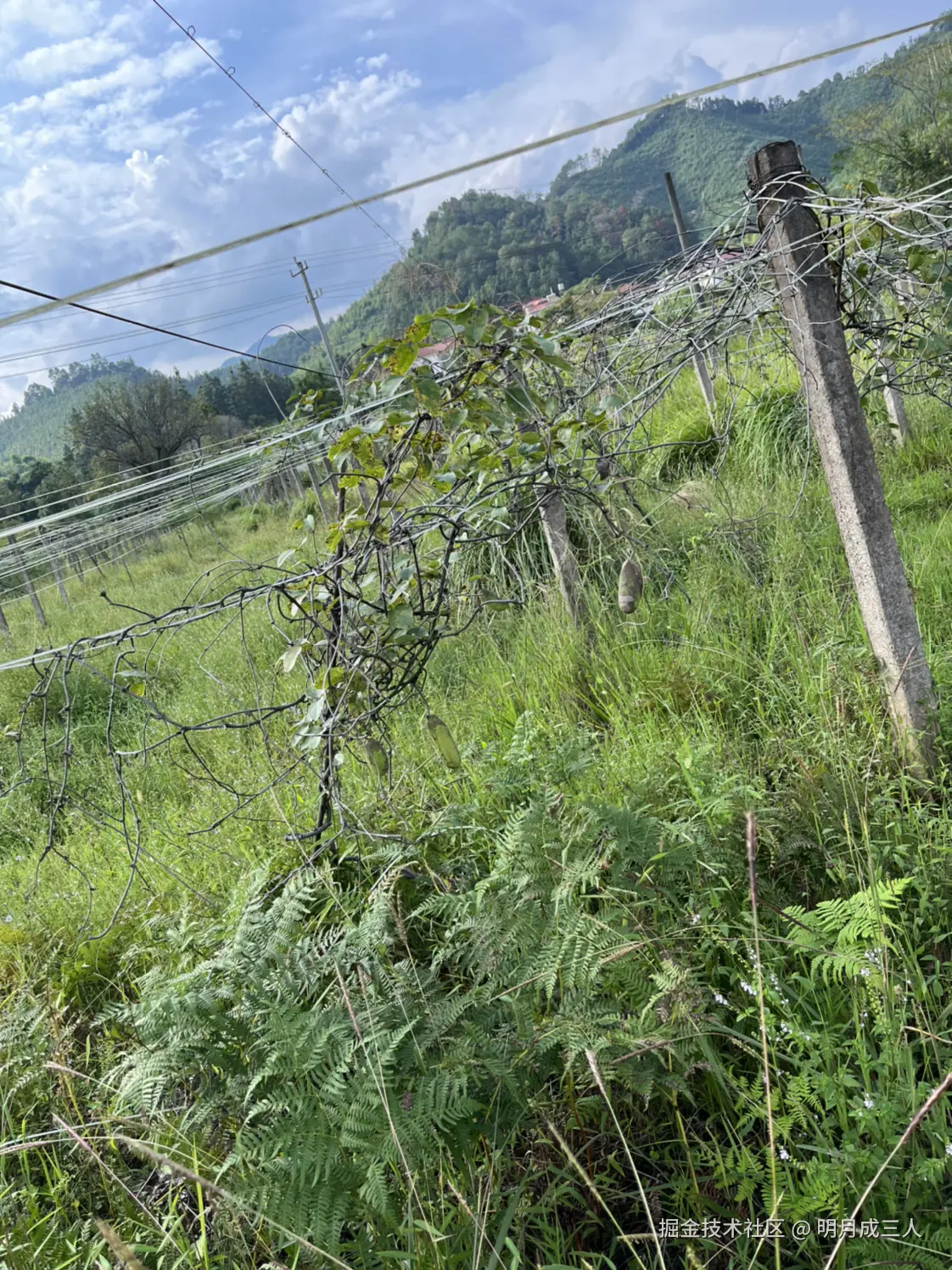 明月成三人于2025-10-10 09:16发布的图片