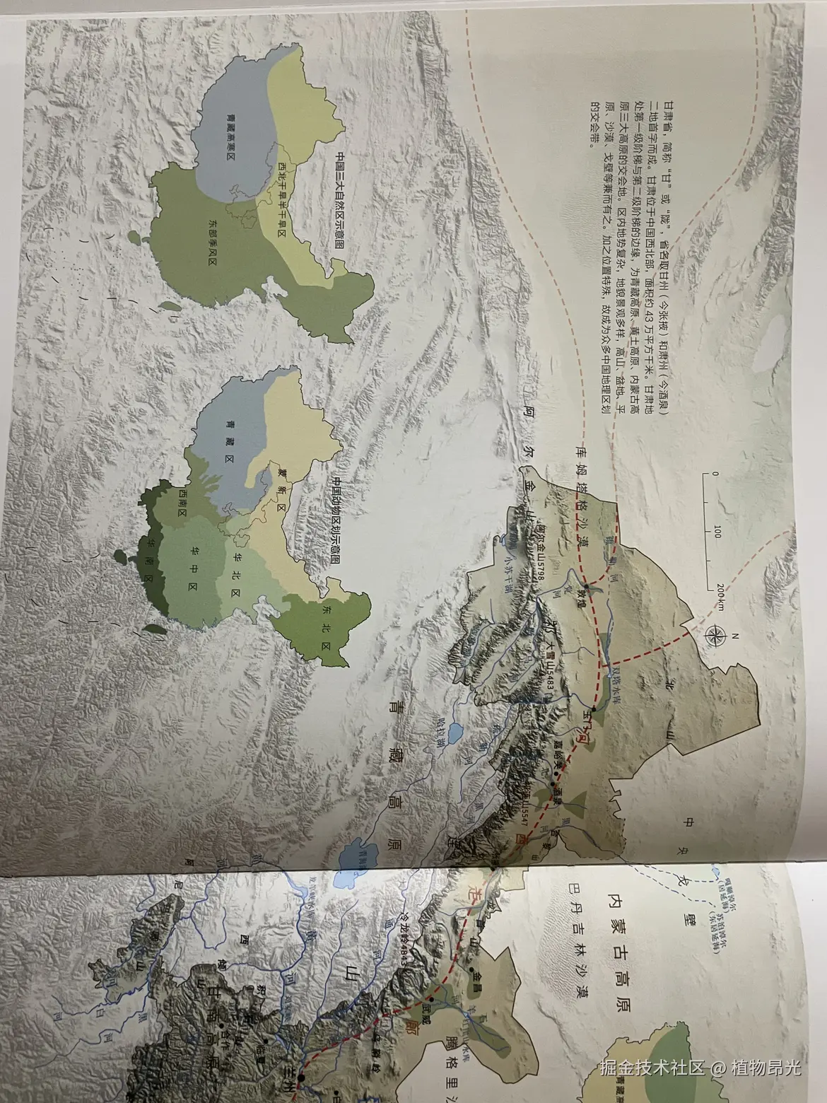 植物昂光于2026-03-26 20:35发布的图片