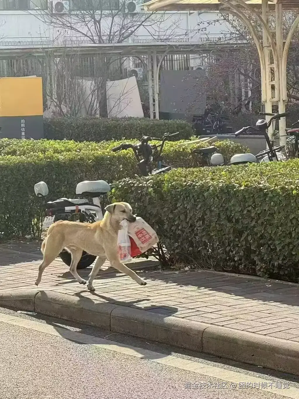 困的时候不睡觉于2026-03-30 13:37发布的图片