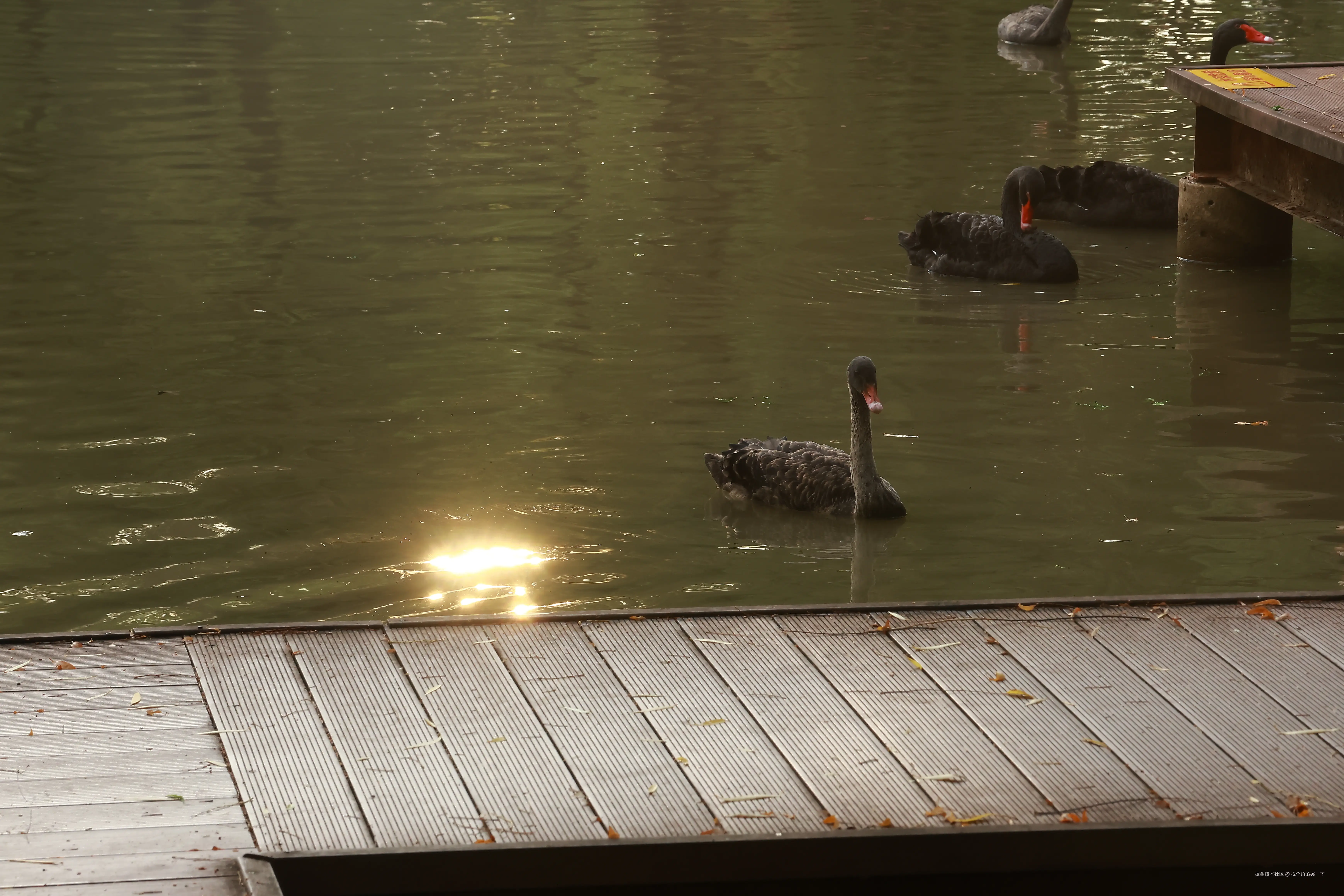 找个角落哭一下于2025-07-28 13:49发布的图片