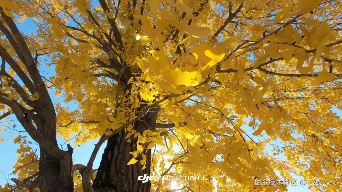 Zzzzzwx于2025-12-11 14:35发布的图片