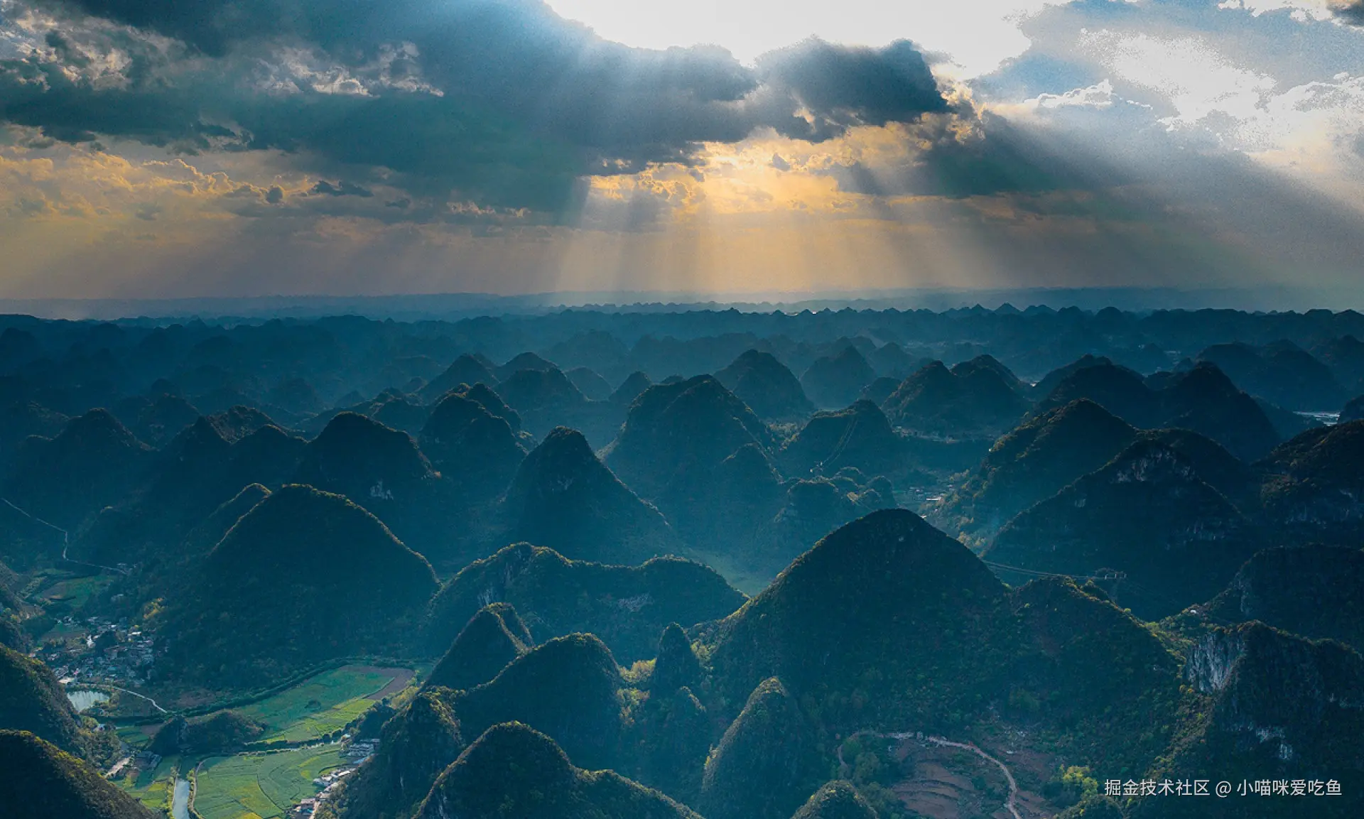 小喵咪爱吃鱼于2024-08-21 08:34发布的图片