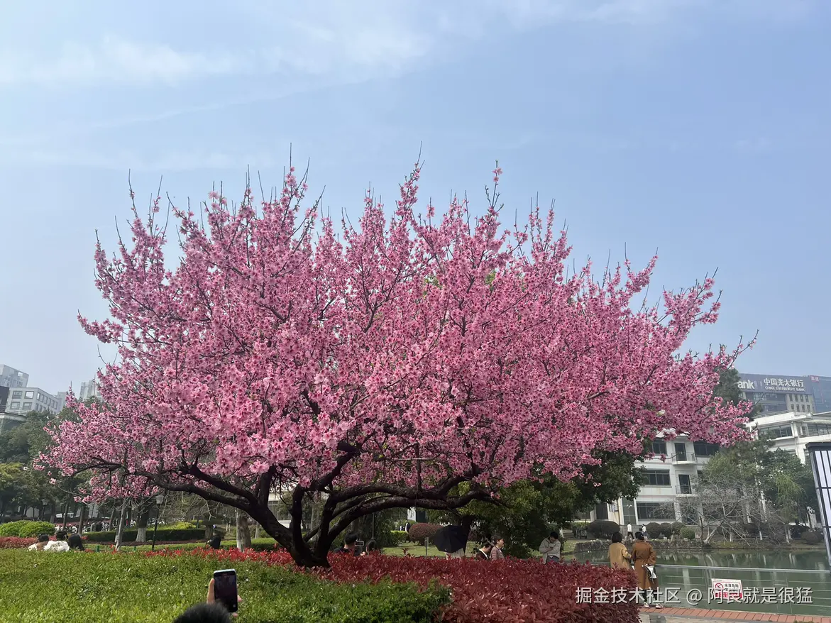 阿良就是很猛于2026-03-25 12:14发布的图片