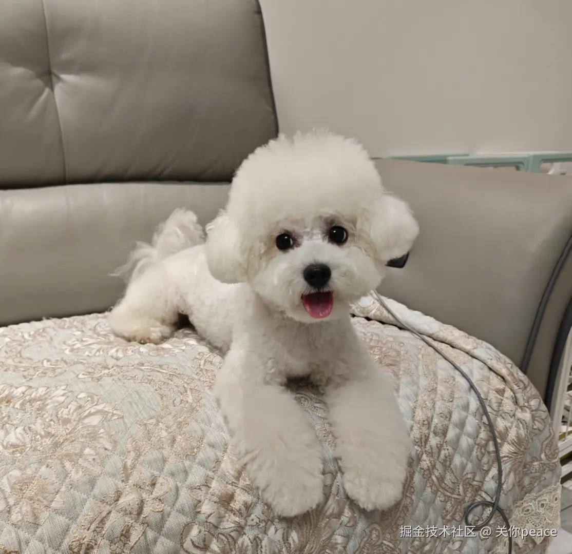 关你peace于2024-10-14 15:59发布的图片