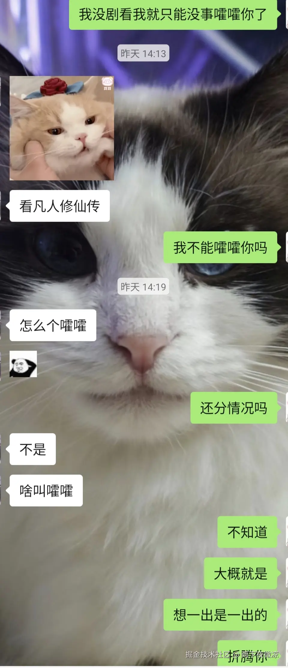 雨下夜微凉于2026-04-22 11:39发布的图片