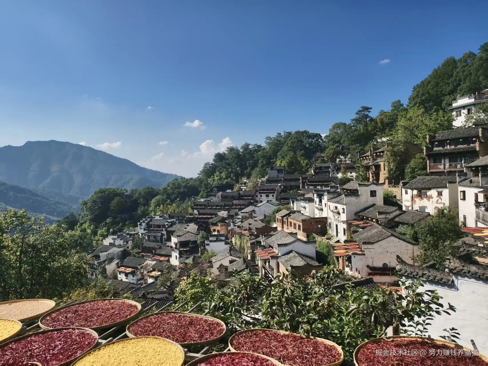 努力赚钱养猫猫于2025-10-23 11:17发布的图片