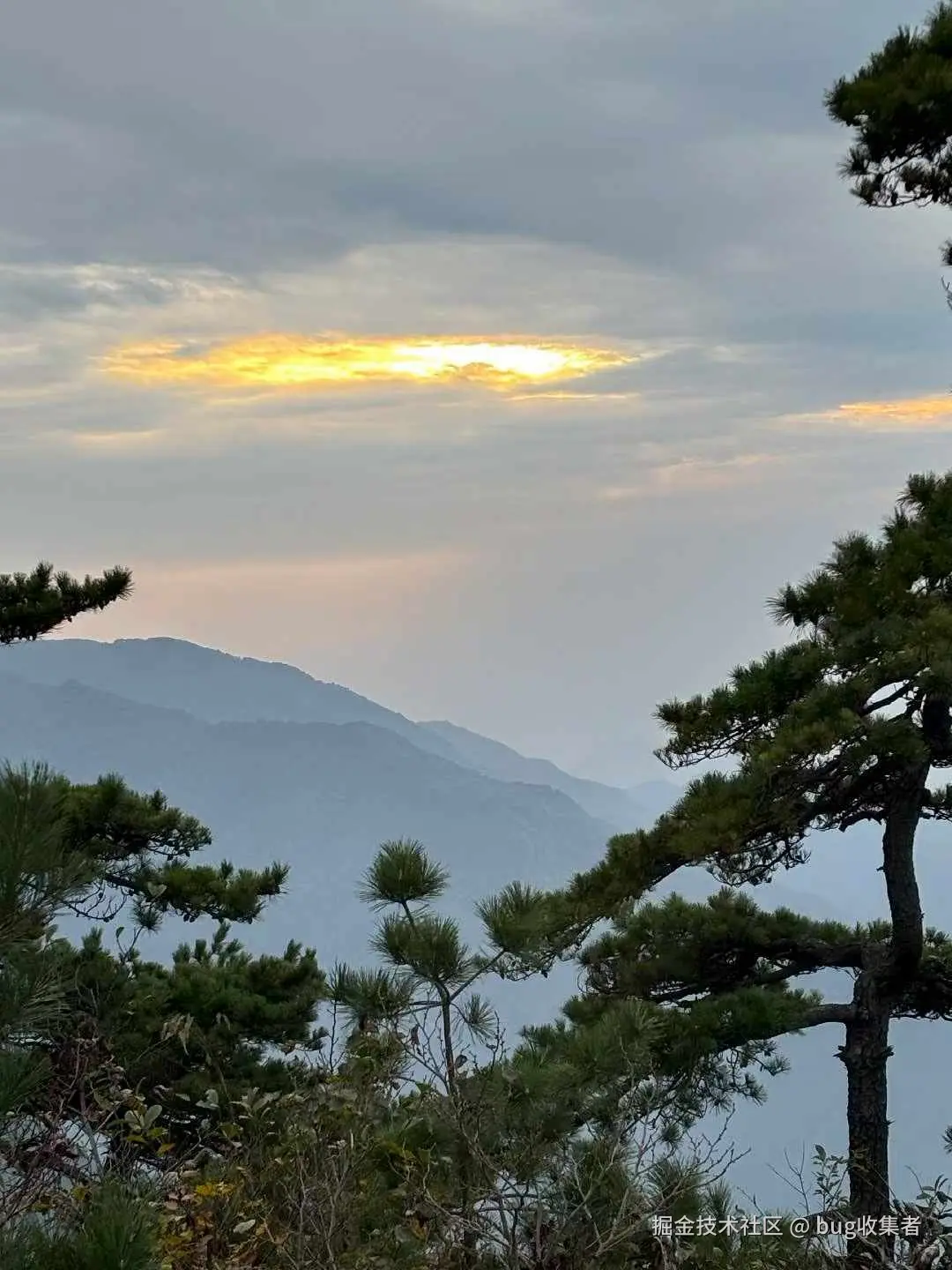 bug收集者于2025-11-03 11:16发布的图片