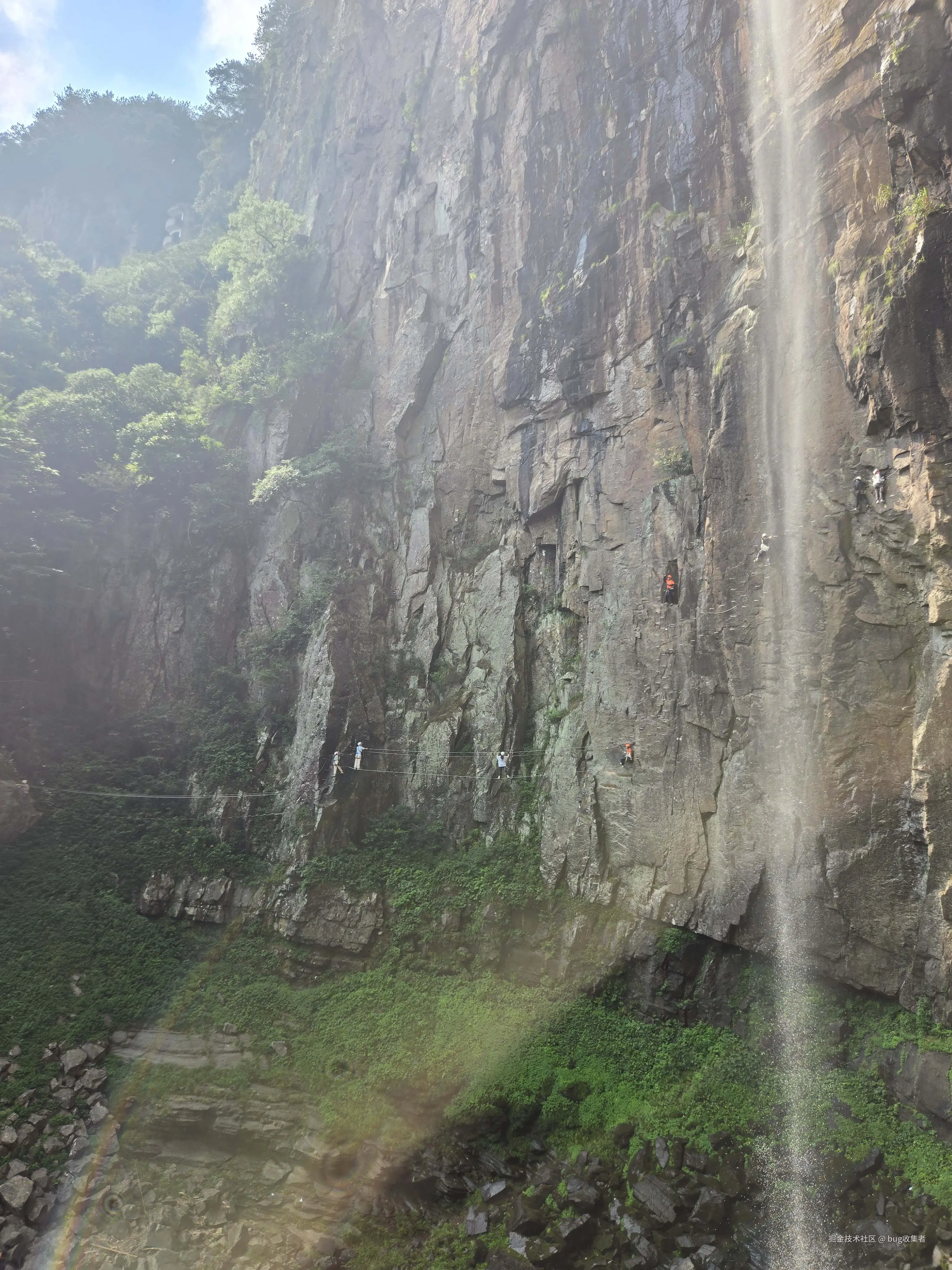 bug收集者于2024-09-02 13:48发布的图片