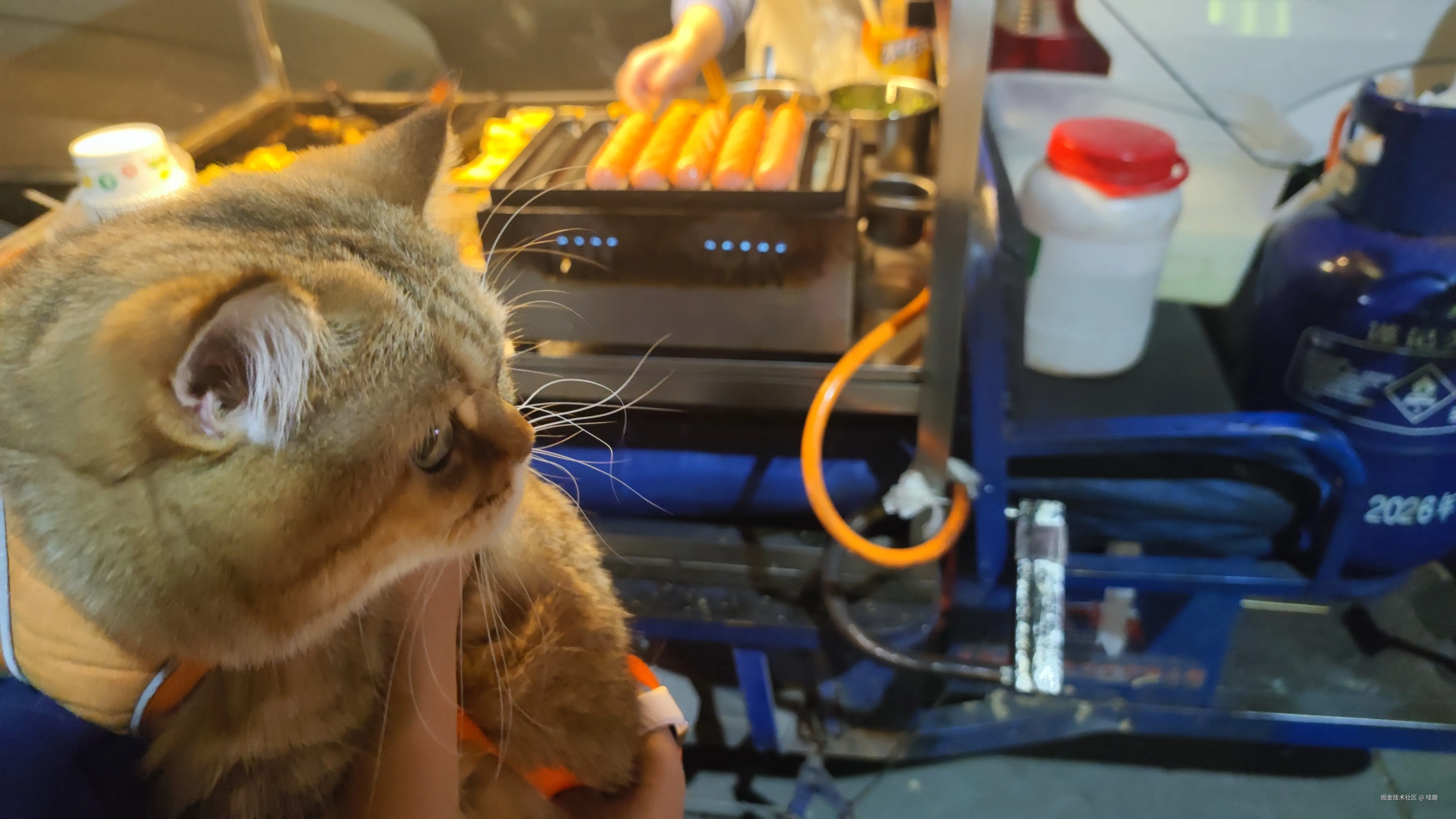 哇趣于2024-11-01 14:46发布的图片