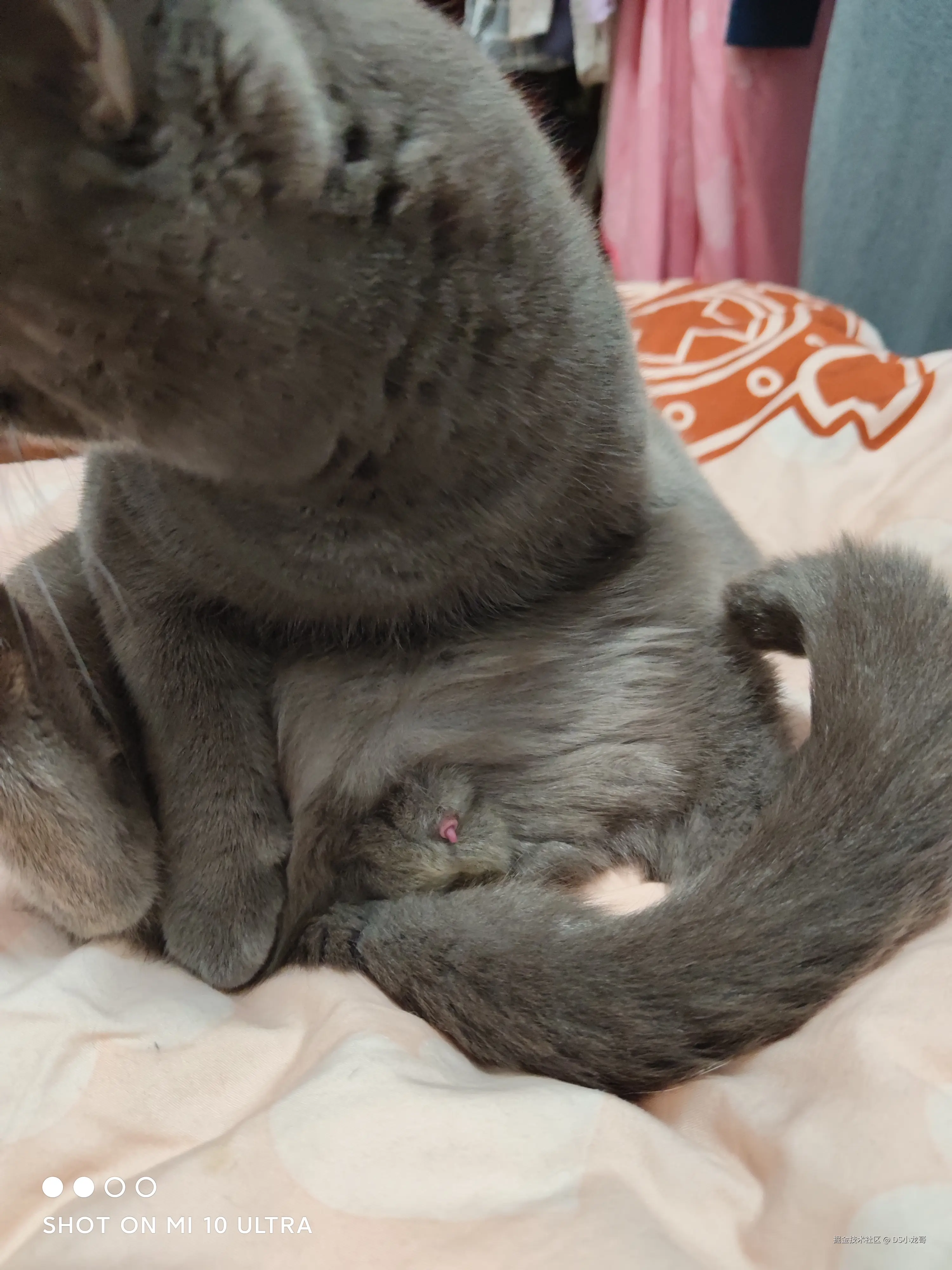 DS小龙哥于2025-07-14 15:26发布的图片