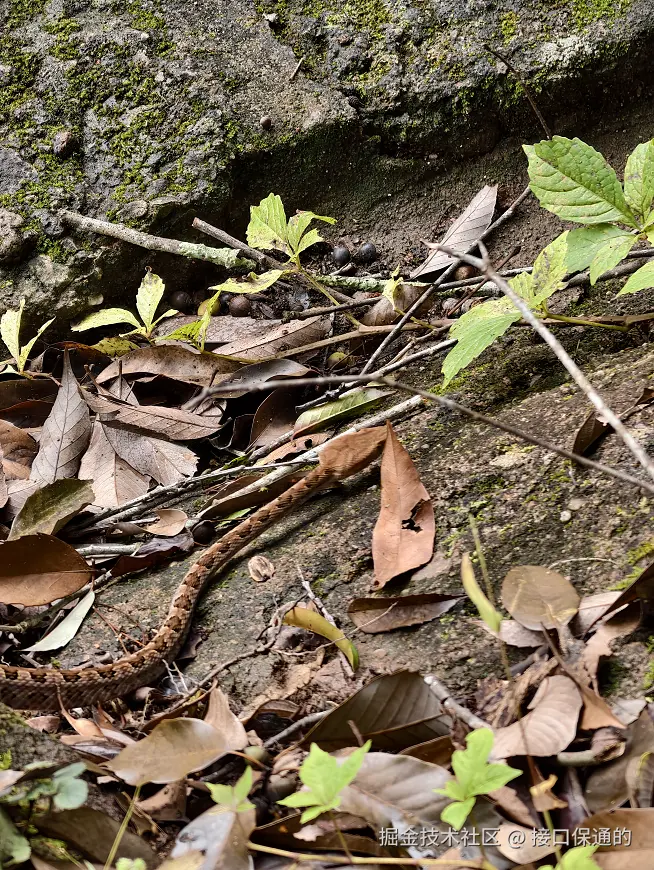 接口保通的于2025-11-10 08:59发布的图片