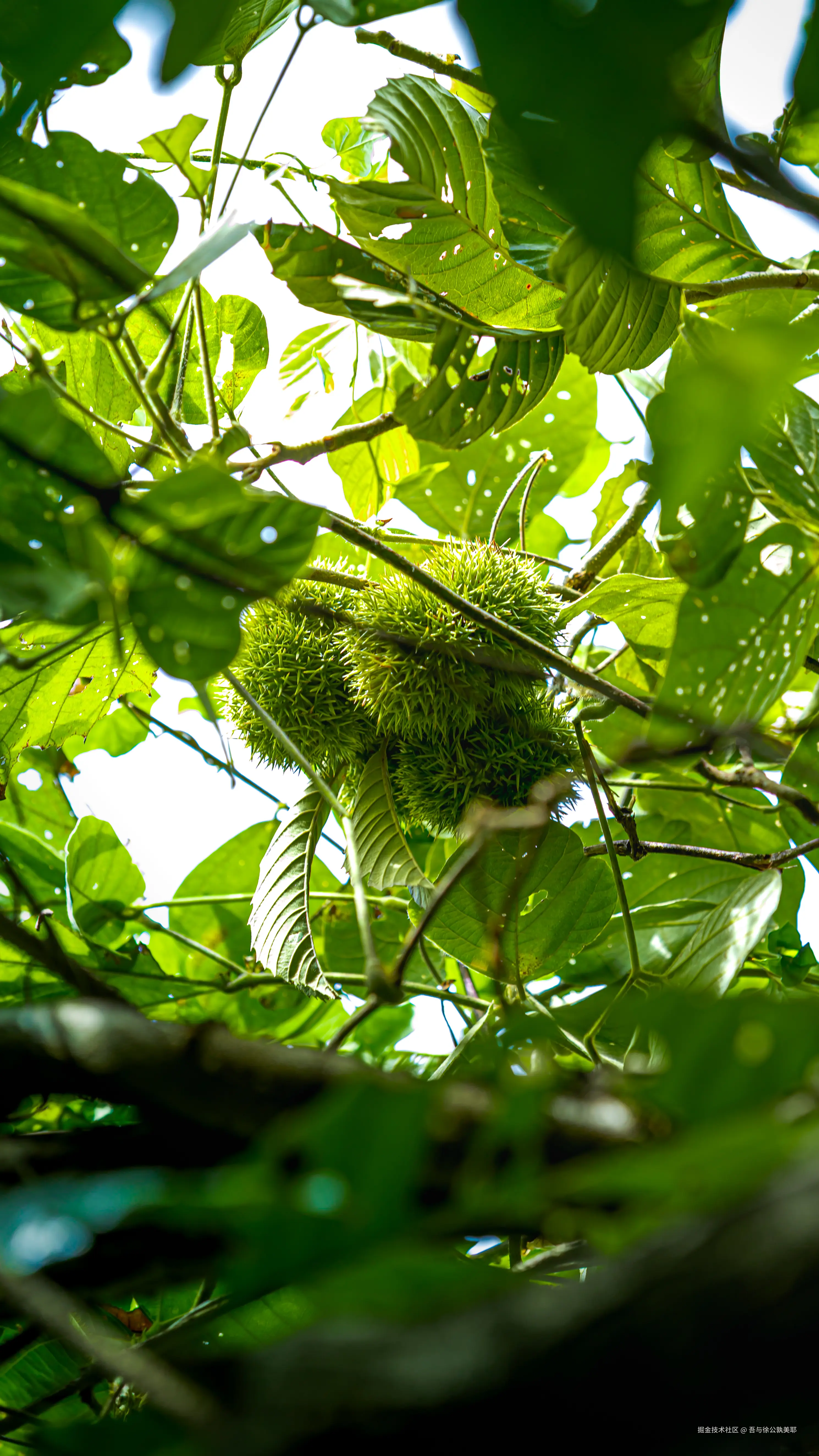 吾与徐公孰美耶于2025-09-15 14:16发布的图片