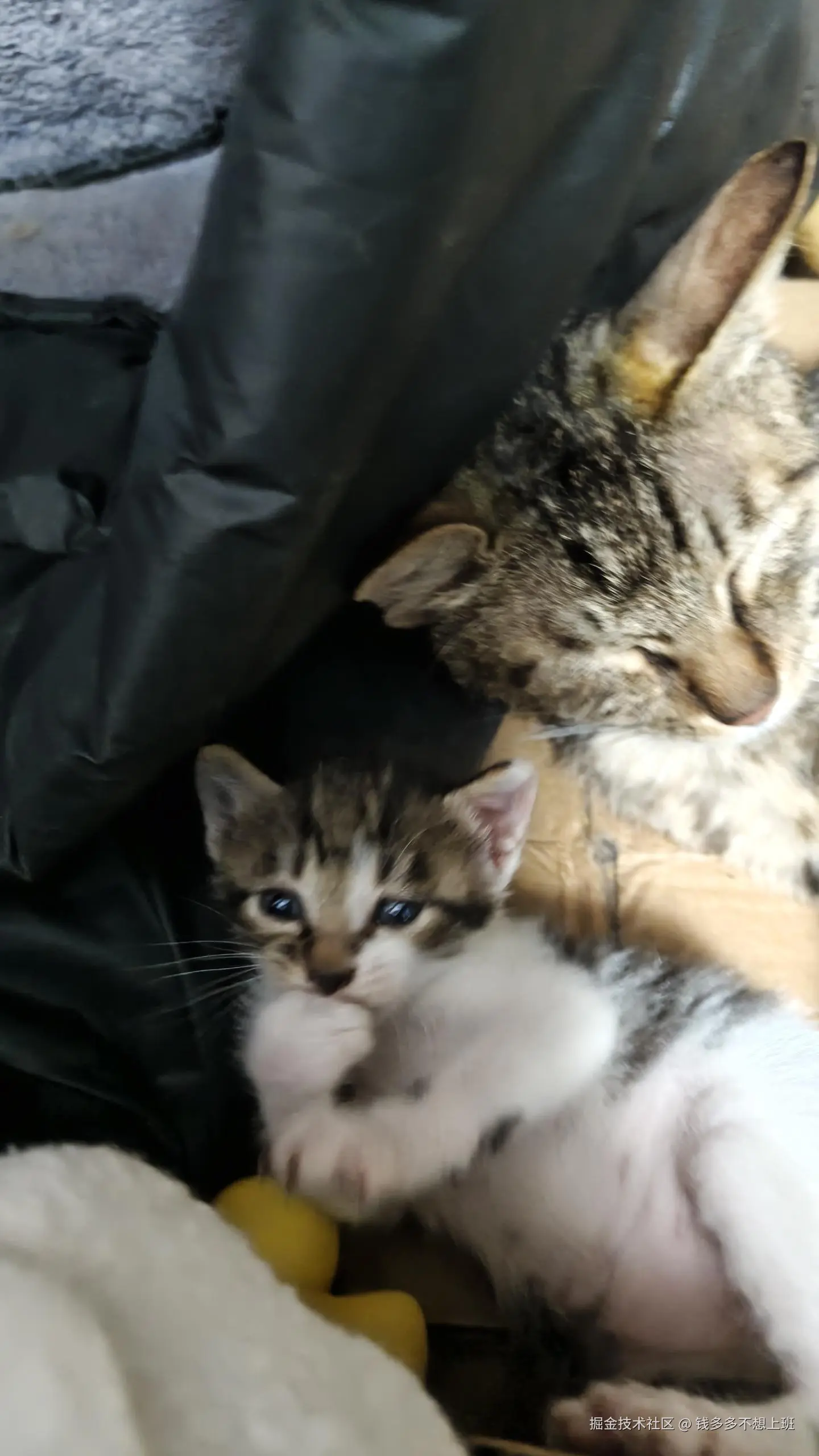 钱多多不想上班于2025-05-08 14:51发布的图片