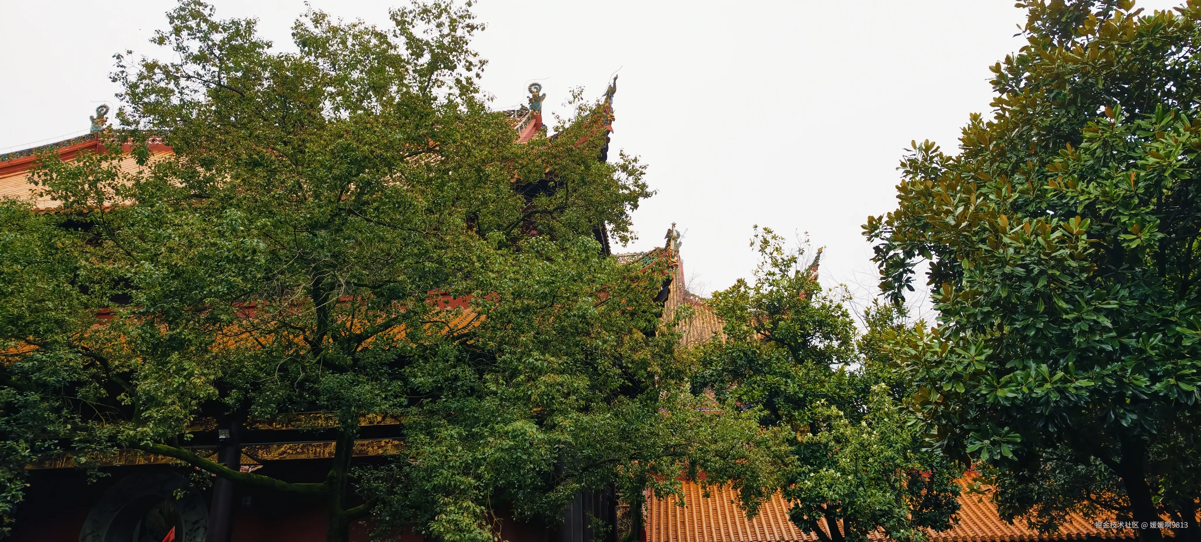 媛媛啊9813于2026-02-21 01:58发布的图片