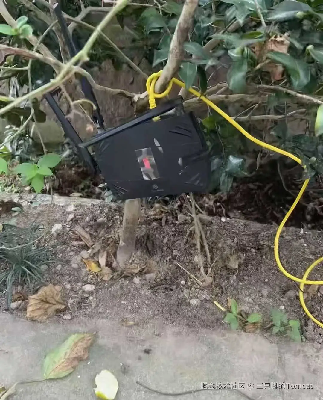 三只脚的Tomcat于2025-11-13 17:34发布的图片