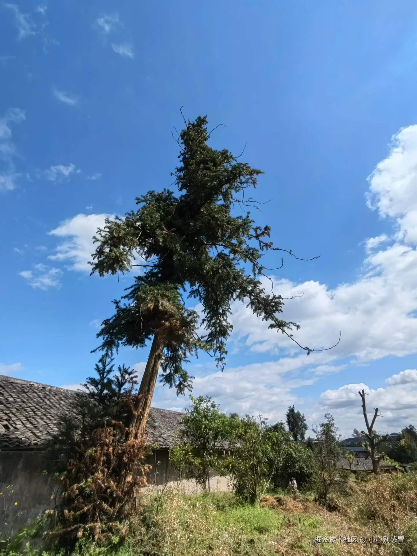 小心别感冒于2026-03-24 15:41发布的图片