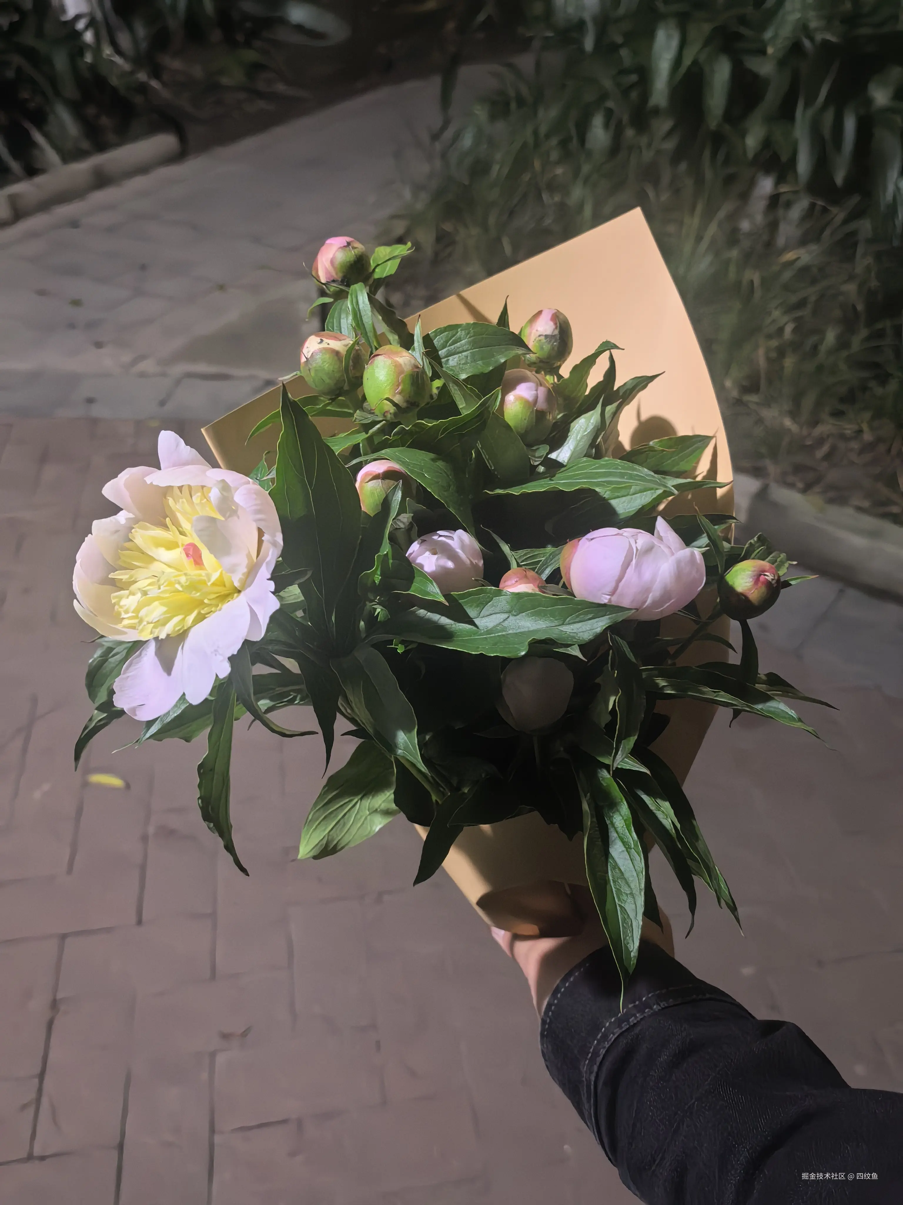 四纹鱼于2026-04-16 09:18发布的图片