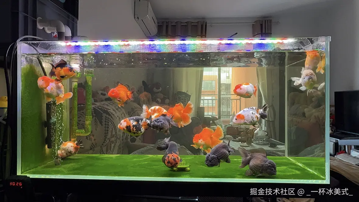 _一杯冰美式_于2024-12-27 11:08发布的图片