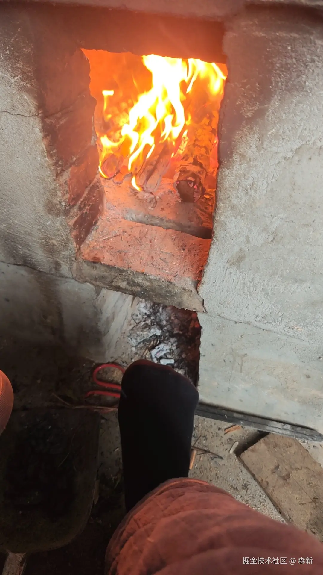 森新于2026-02-24 11:53发布的图片