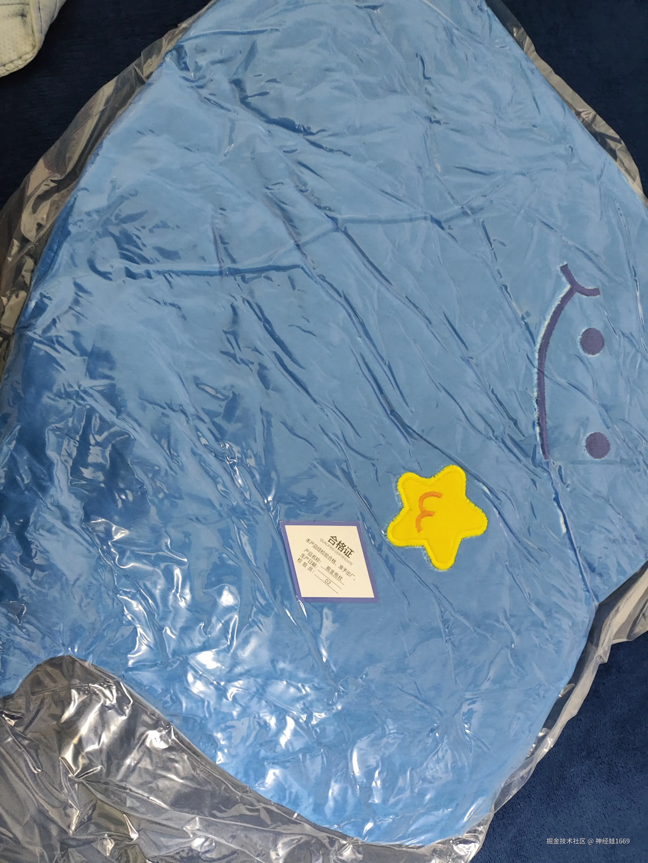 神经蛙1669于2025-01-14 19:59发布的图片