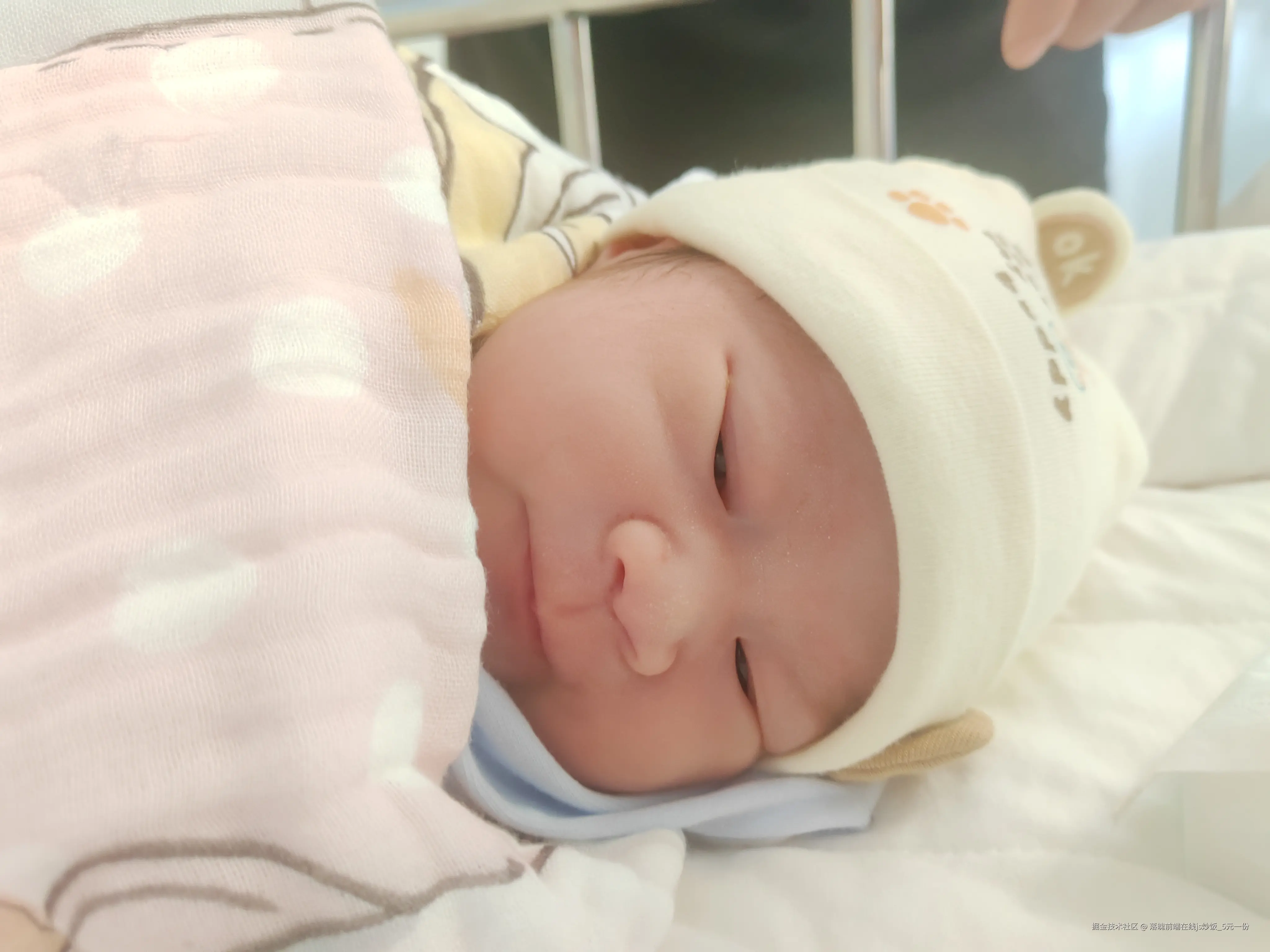 落魄前端在线js炒饭_5元一份于2026-05-28 11:19发布的图片