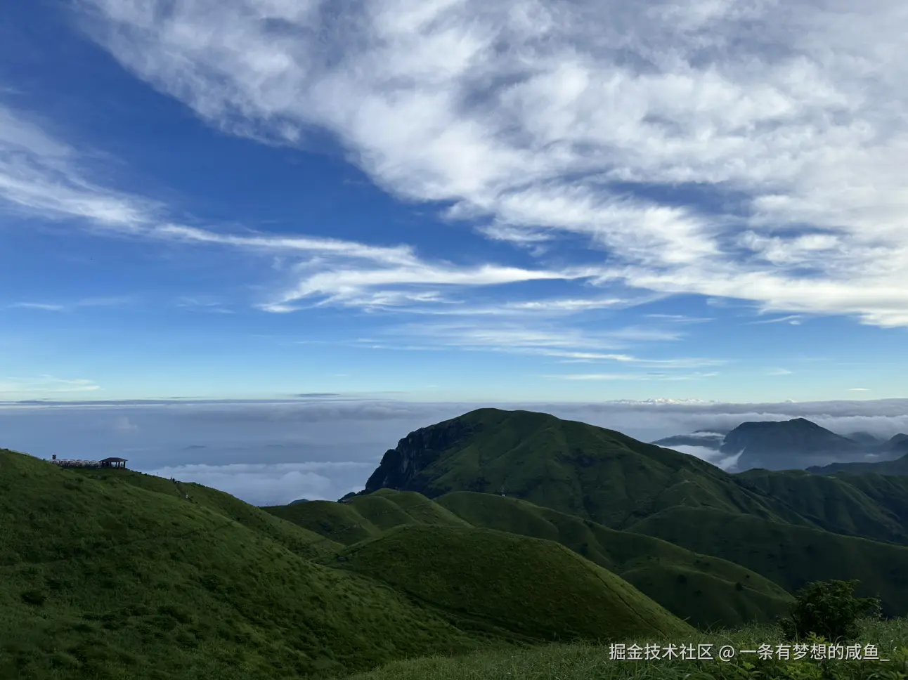 一条有梦想的咸鱼_于2025-07-28 14:12发布的图片