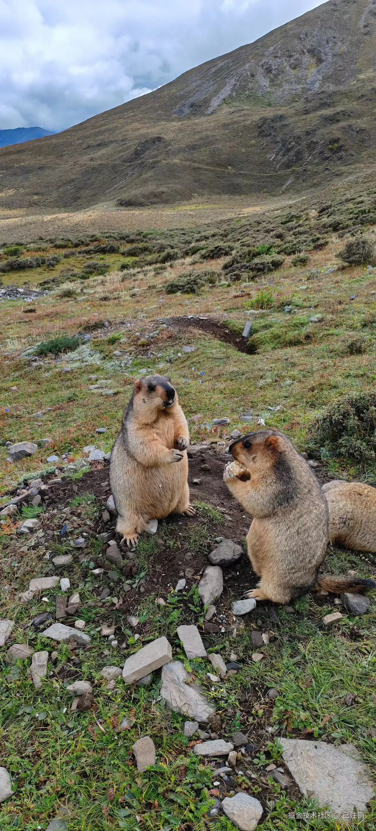 已注销于2024-09-18 08:39发布的图片