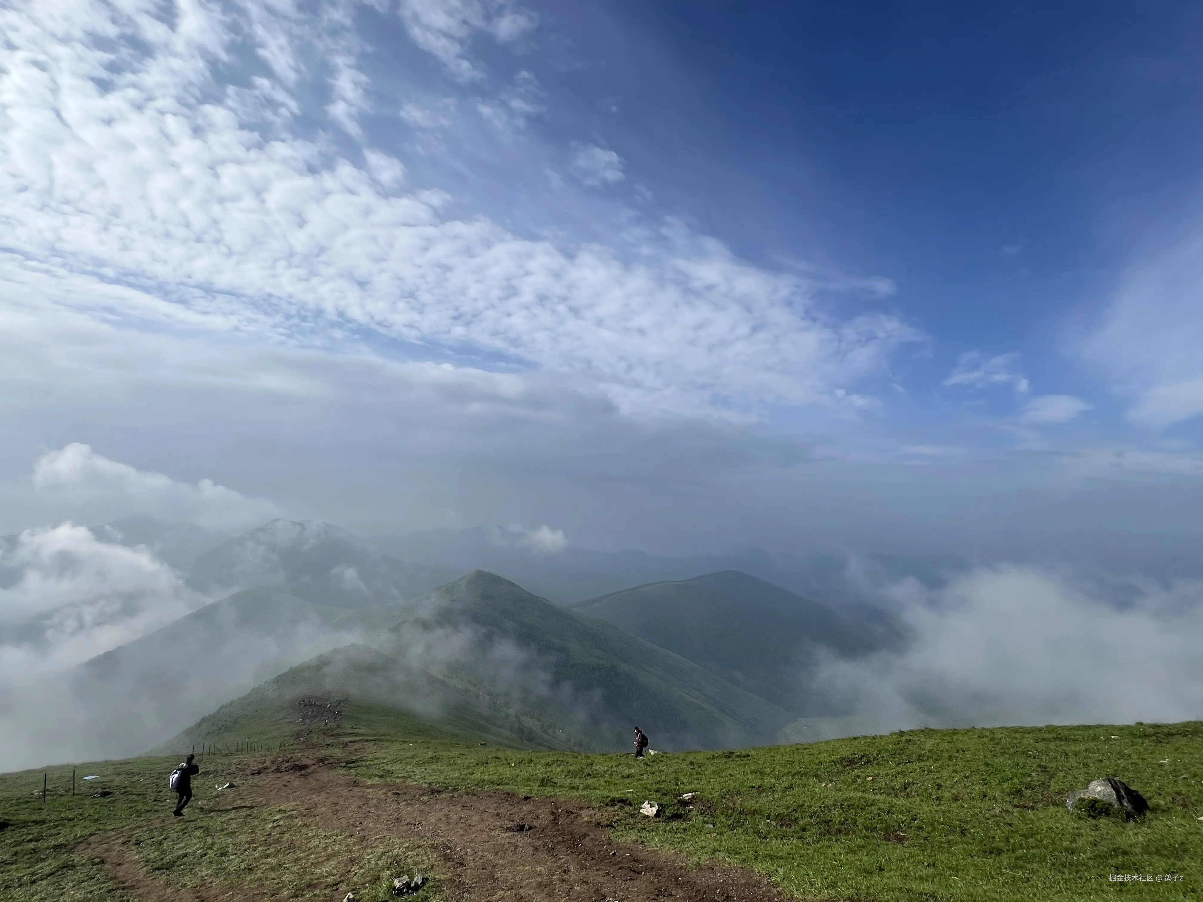 鸽子z于2025-07-14 14:20发布的图片