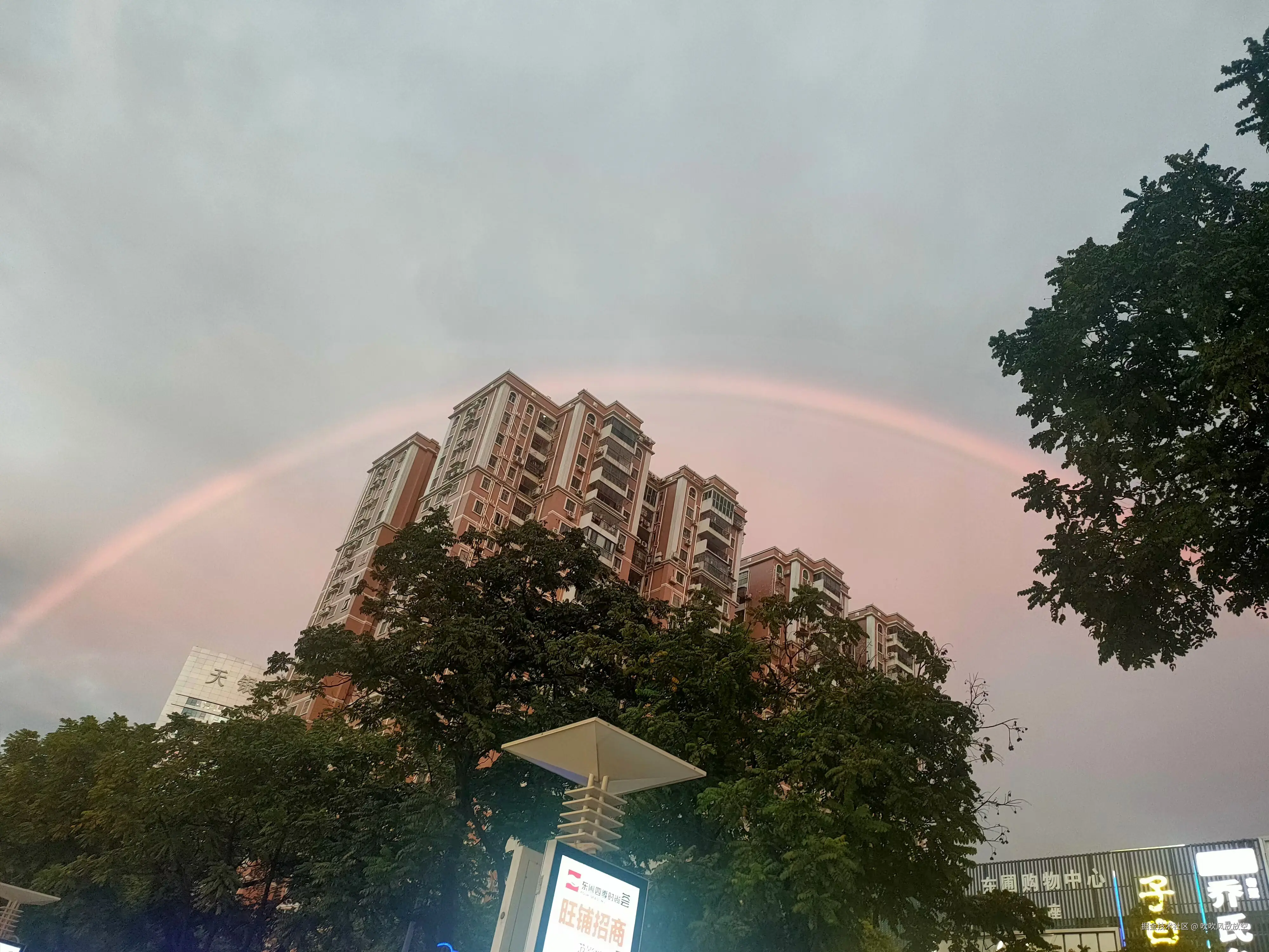 吹吹风放放空于2024-11-19 09:19发布的图片