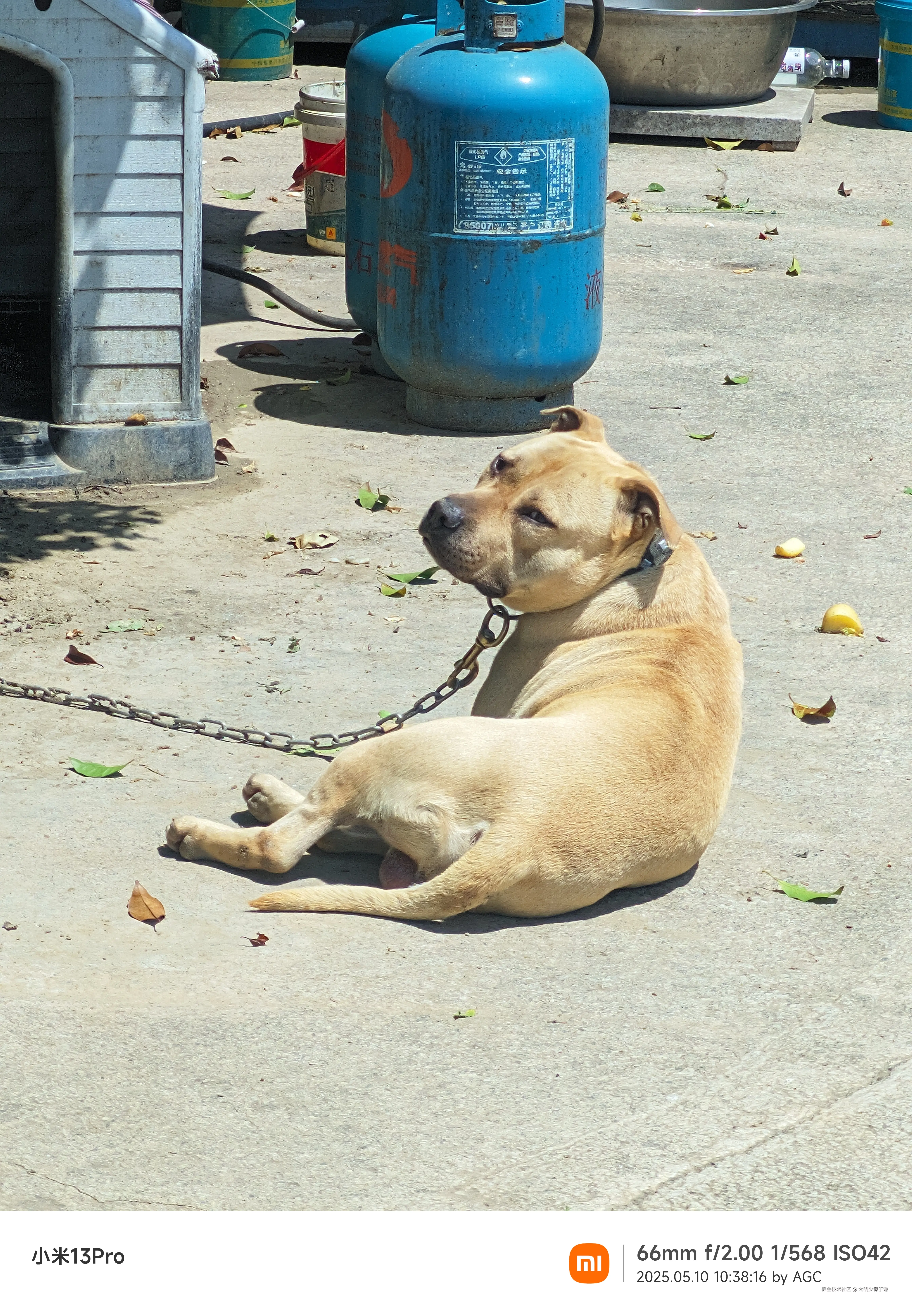 大明少保于谦于2025-05-12 09:51发布的图片