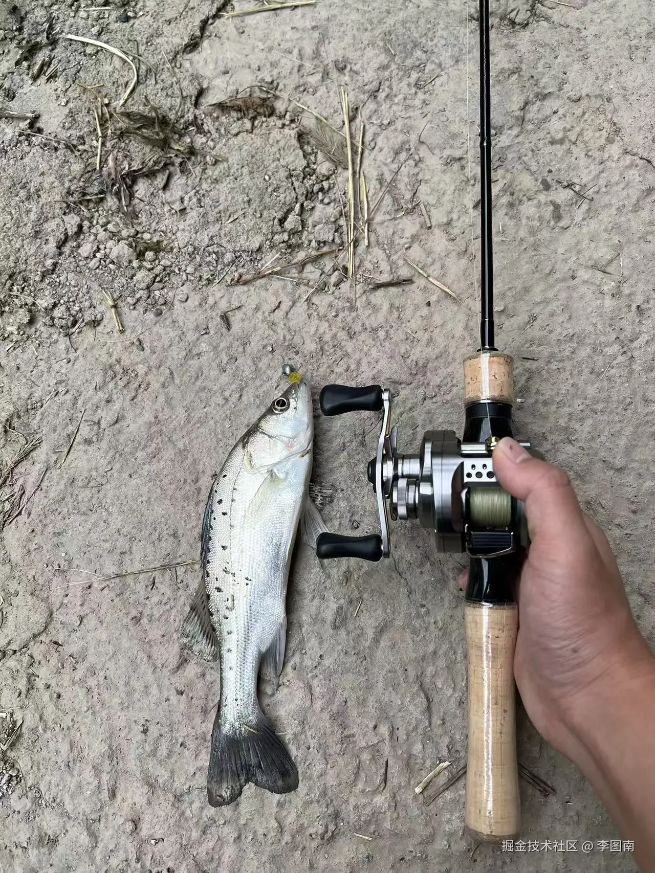 李图南于2025-10-15 15:20发布的图片