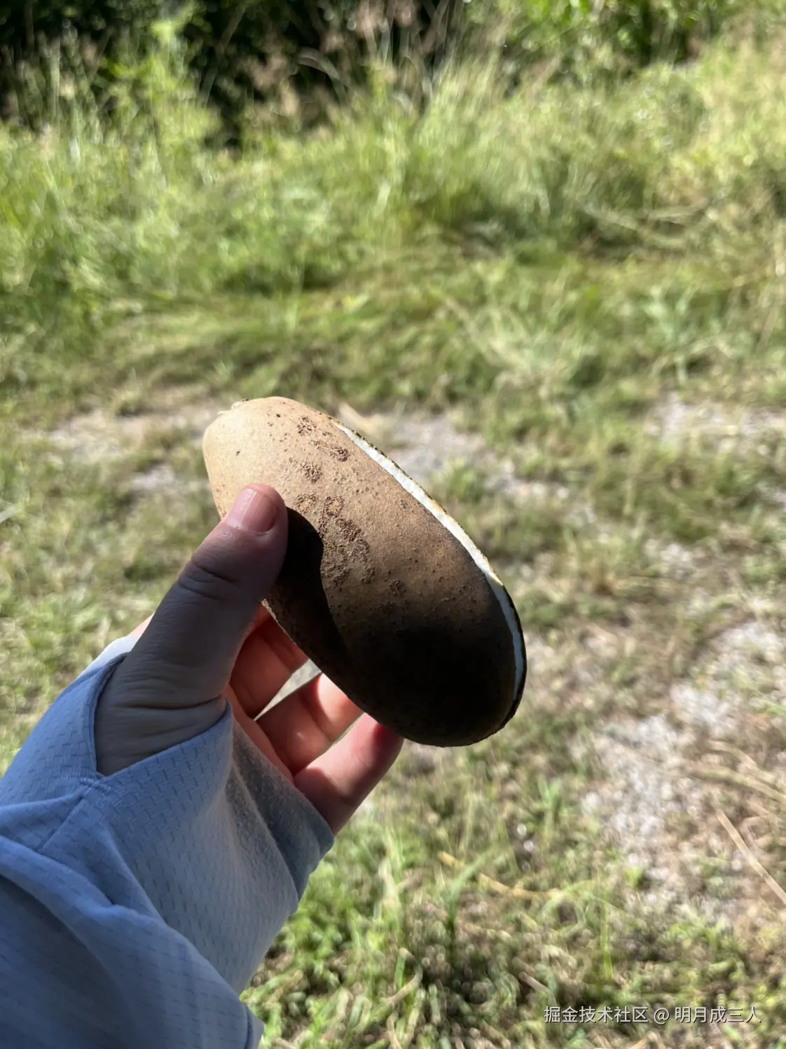 明月成三人于2025-10-10 09:16发布的图片