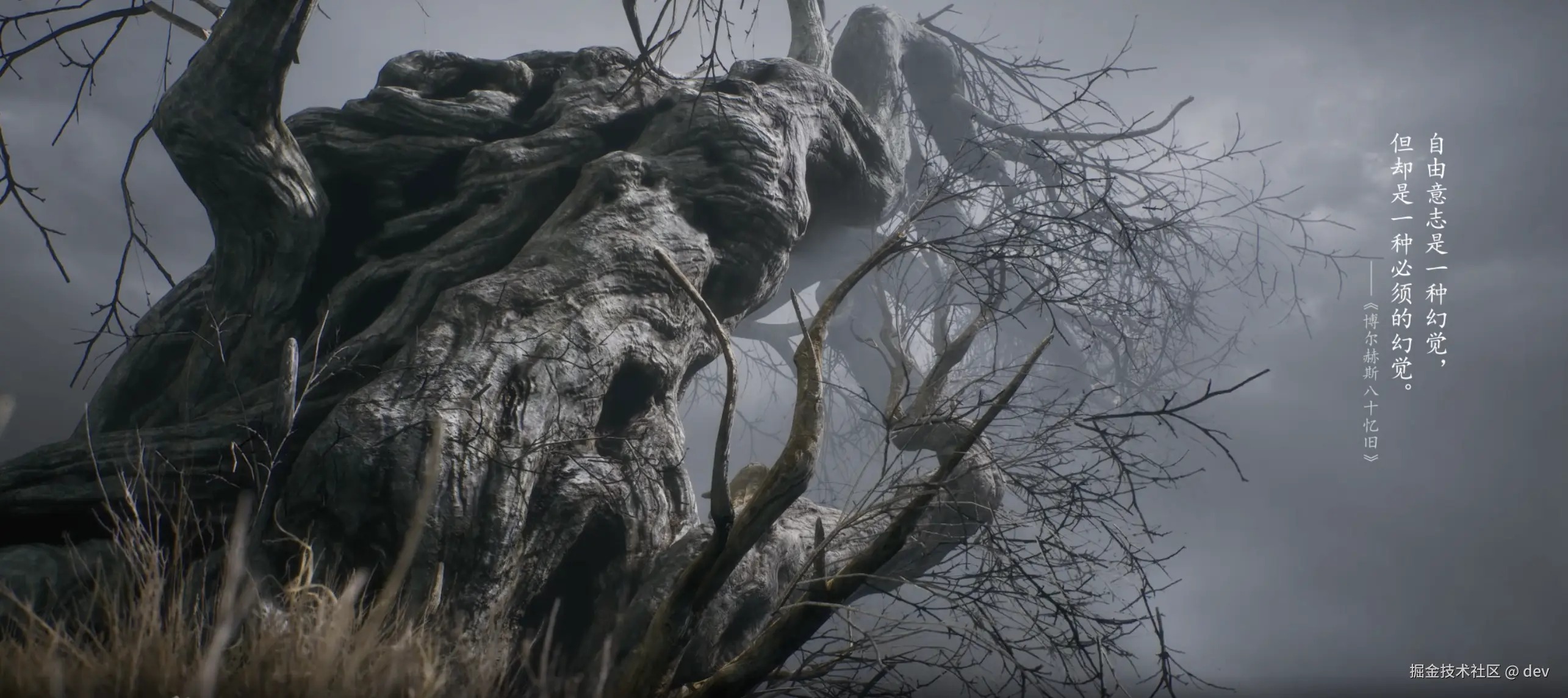 dev于2024-09-02 11:09发布的图片