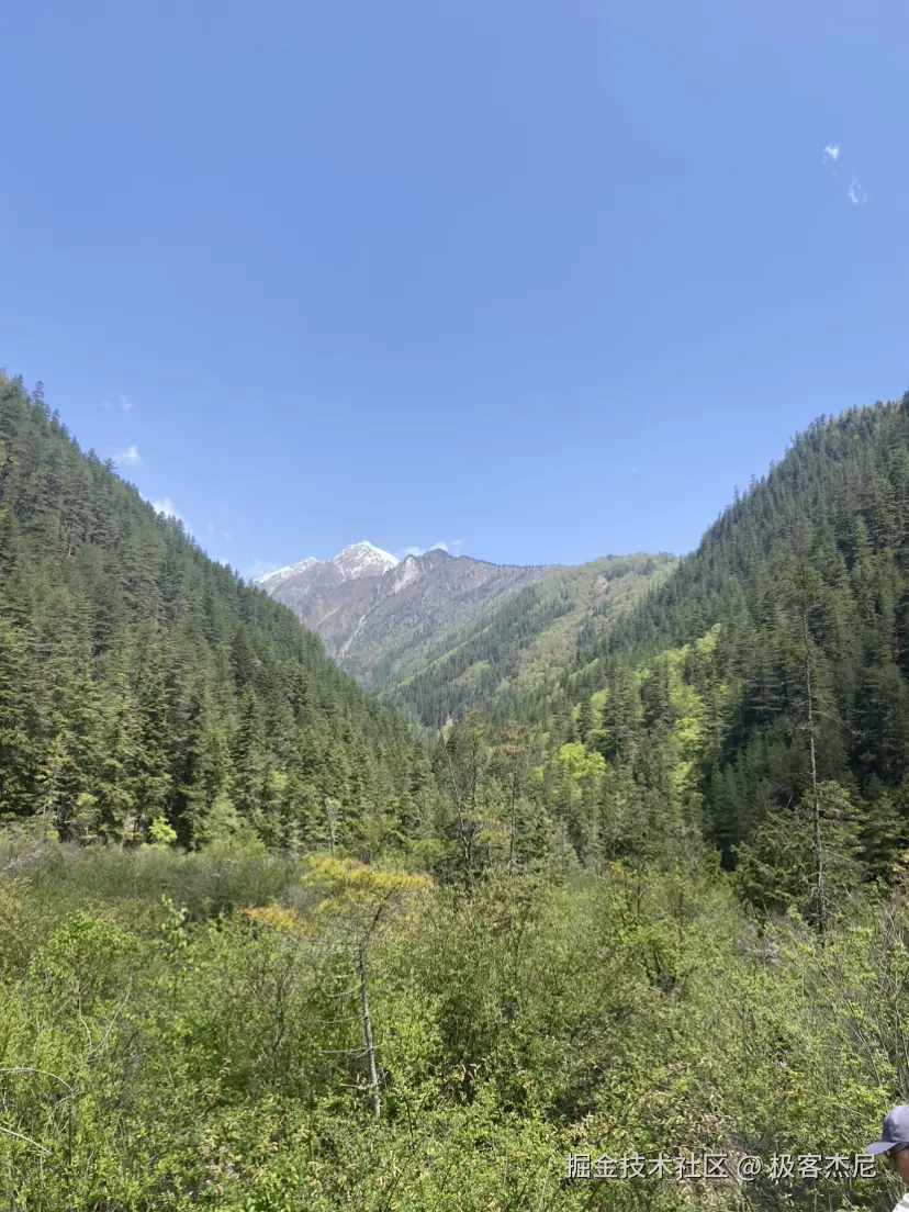 极客杰尼于2025-05-08 12:13发布的图片