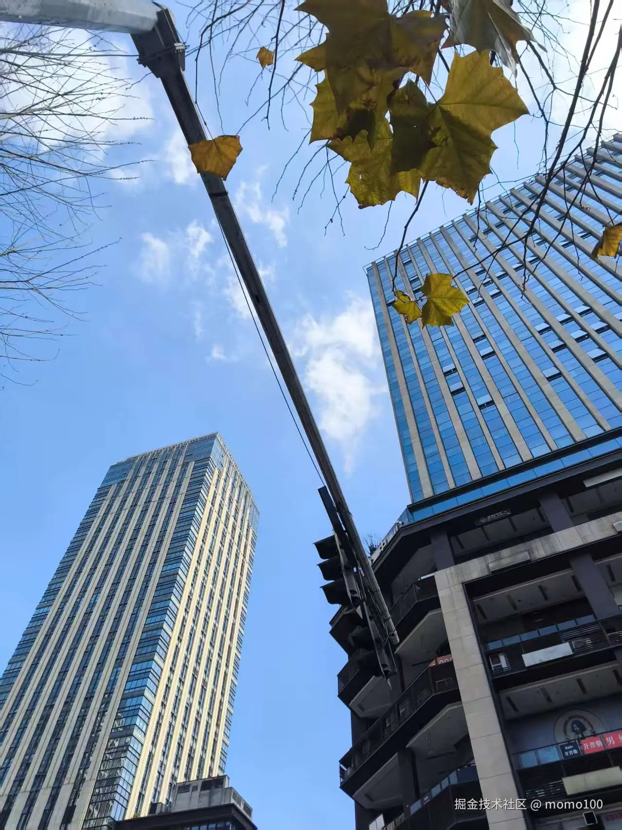 momo100于2026-03-04 13:42发布的图片