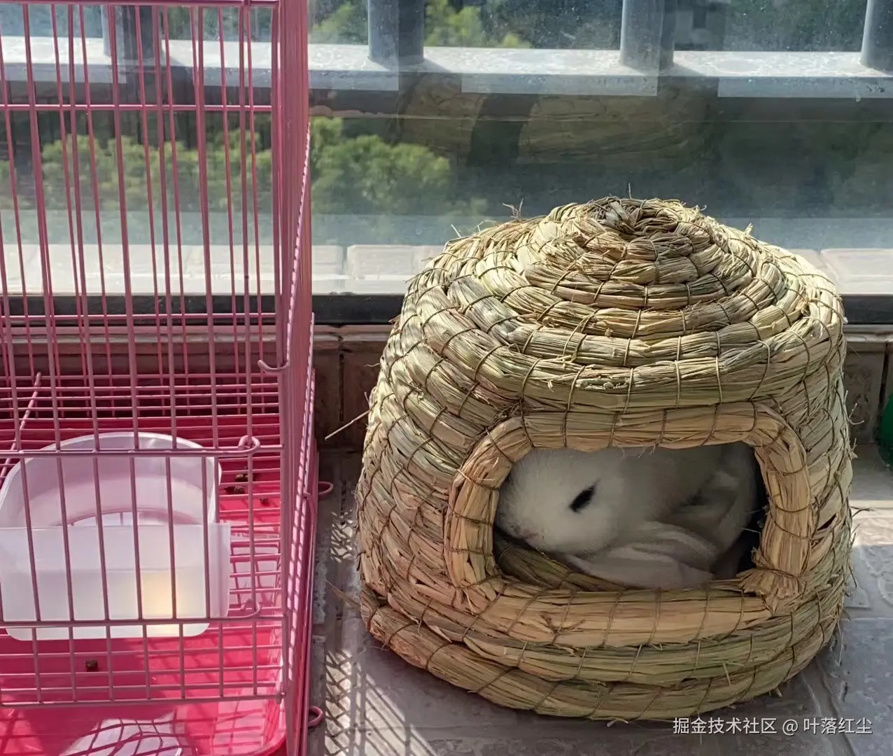 叶落红尘于2024-11-01 09:53发布的图片