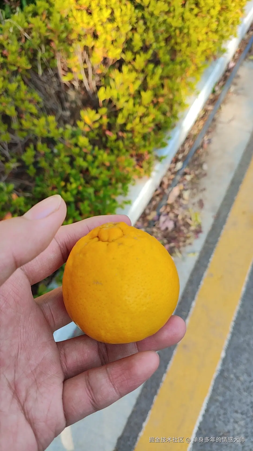 单身多年的情感大师于2025-12-16 15:04发布的图片